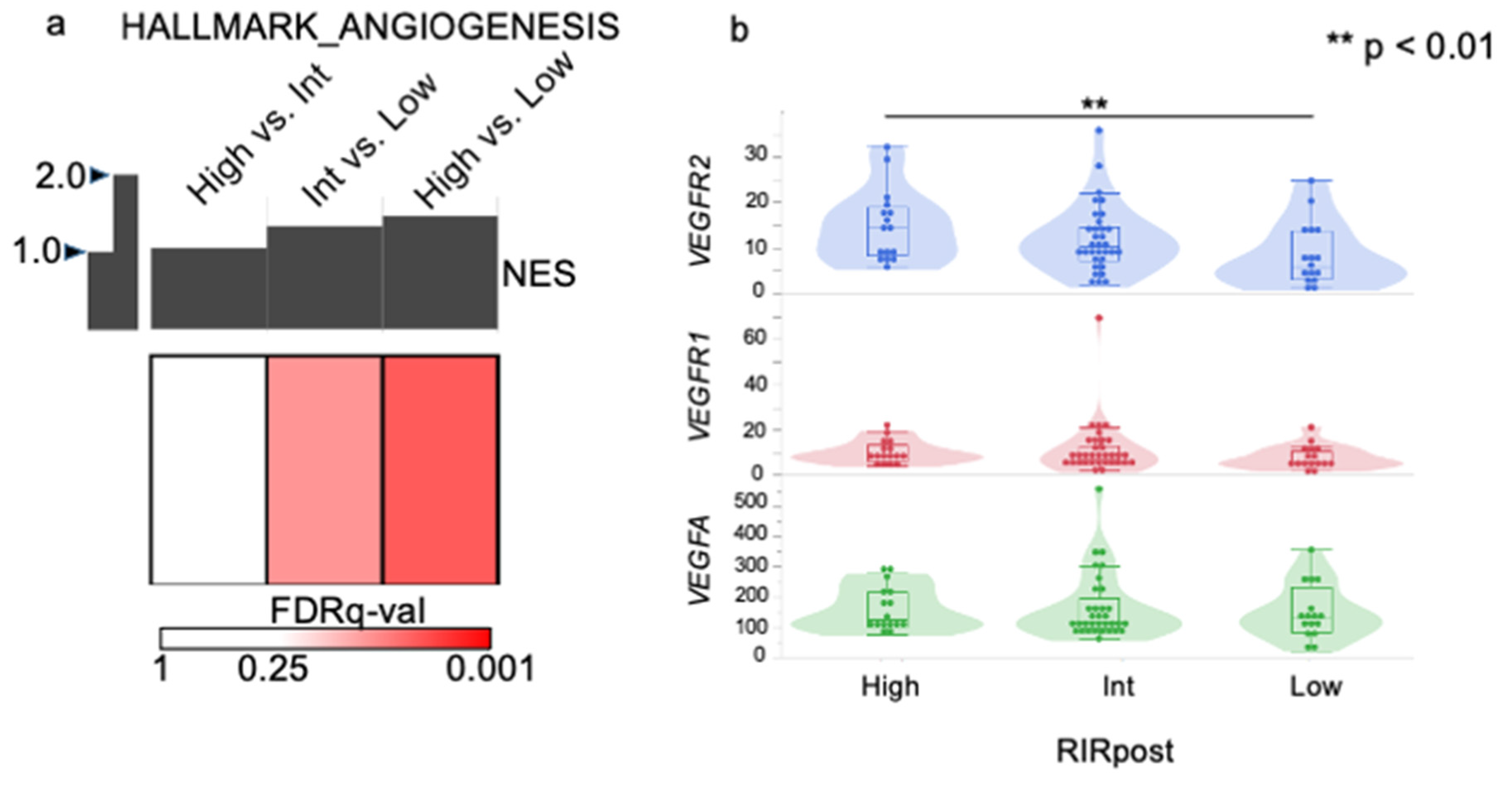 Cancers 15 04234 g005