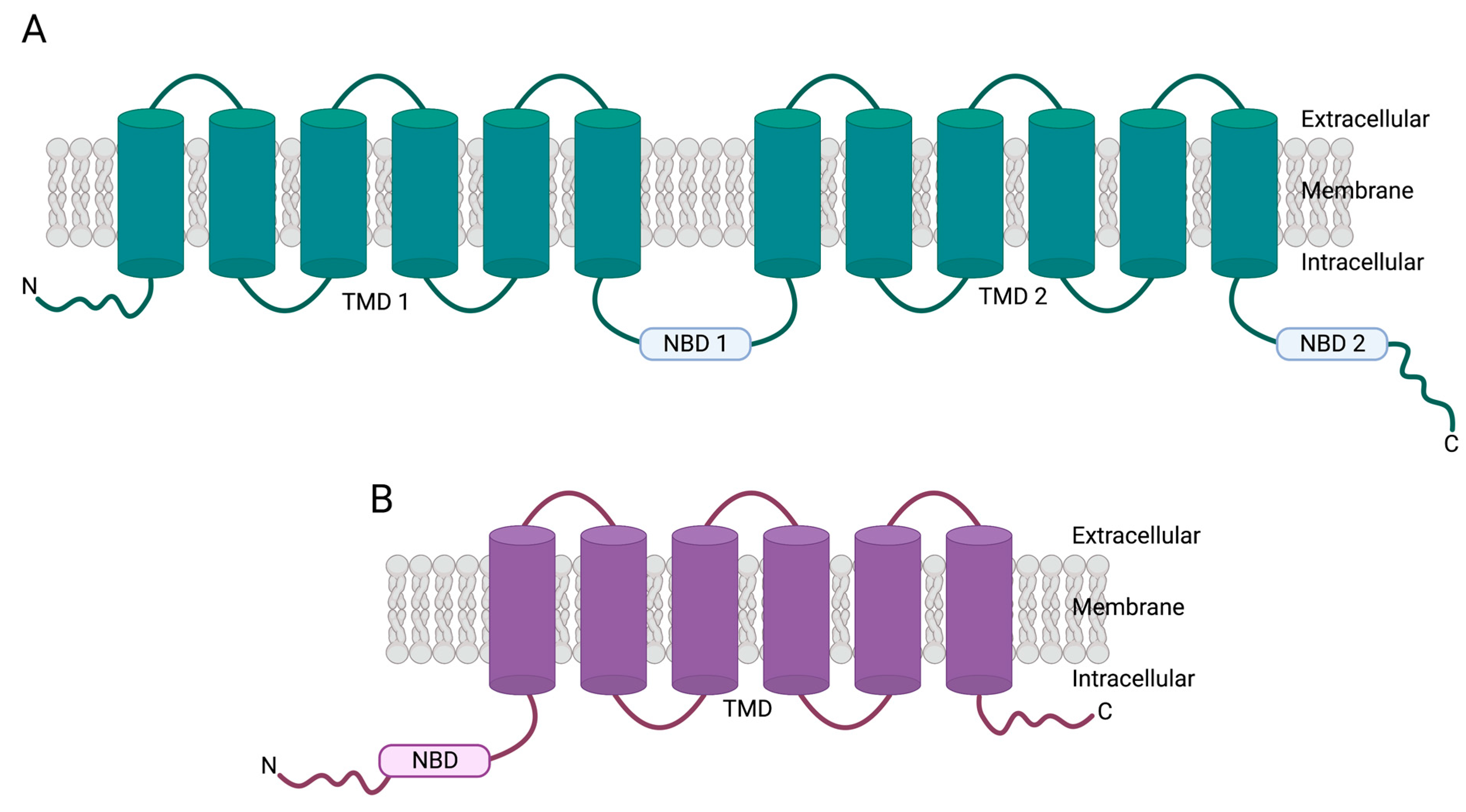 Cancers 15 04236 g001 Cancers 15 04236 g001