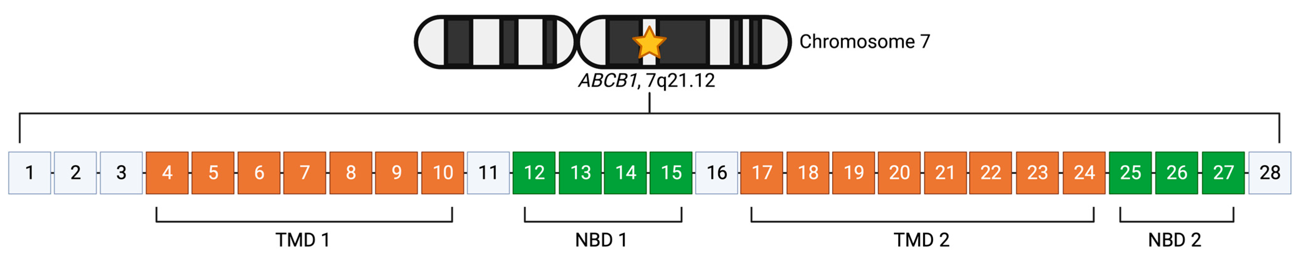 Cancers 15 04236 g002 Cancers 15 04236 g002