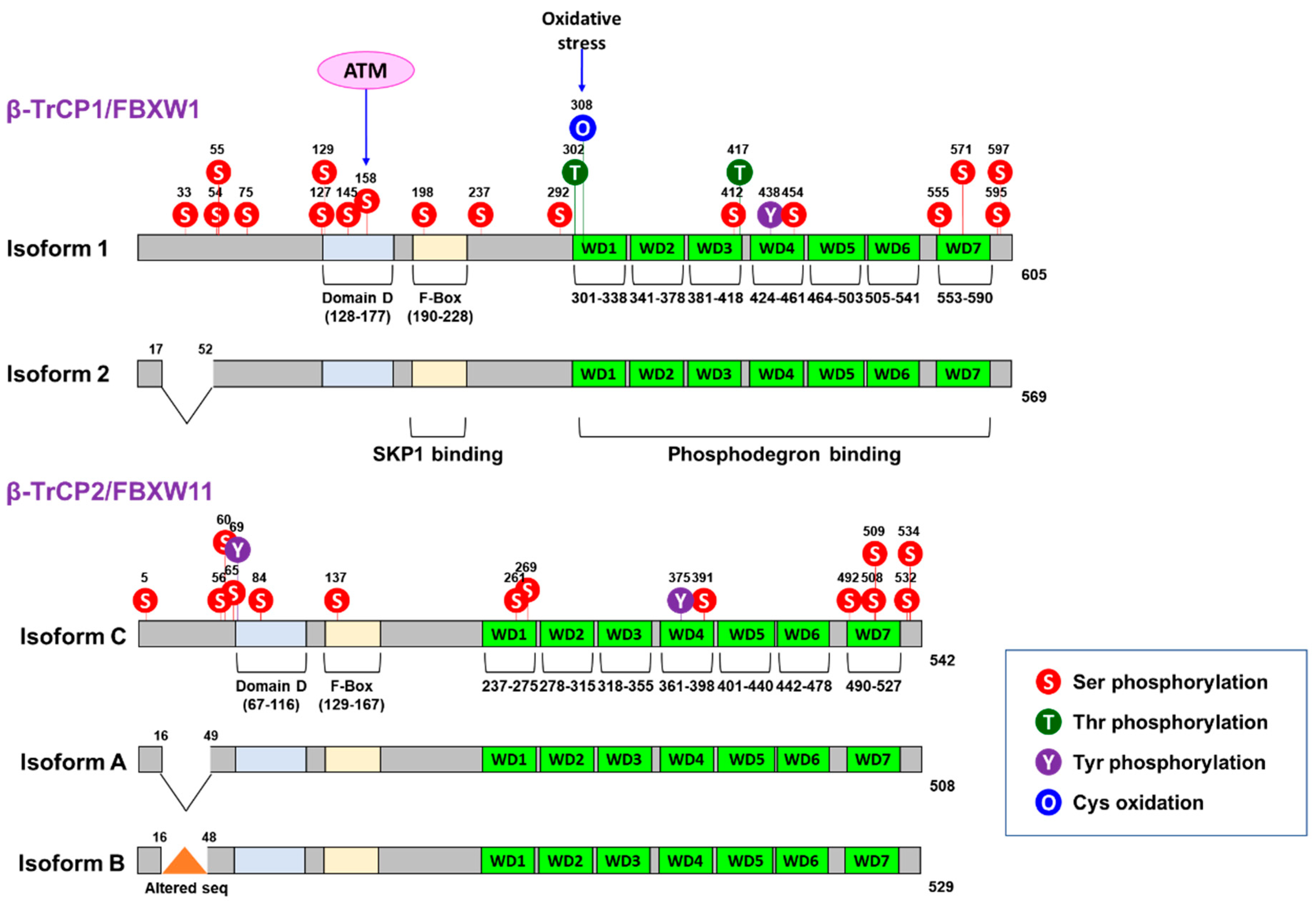 Cancers 15 04248 g001