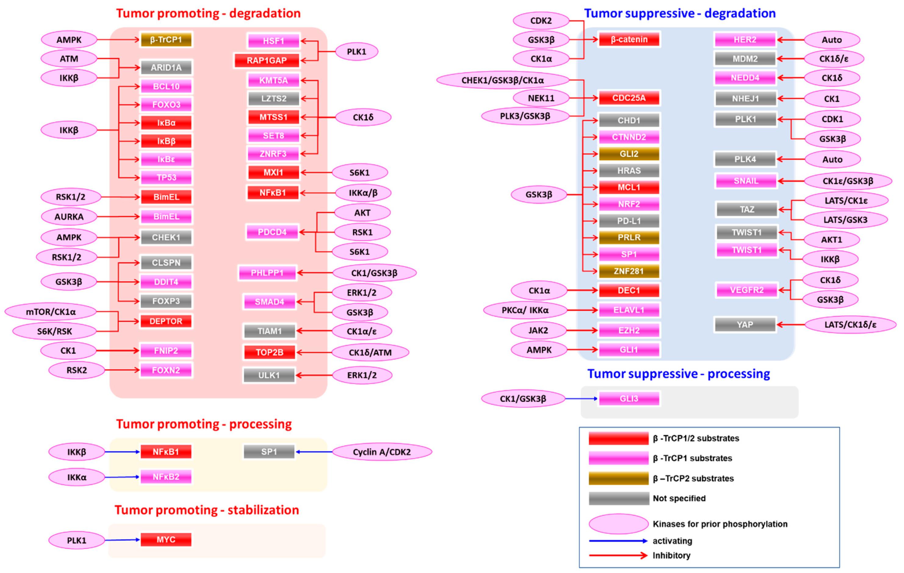 Cancers 15 04248 g002