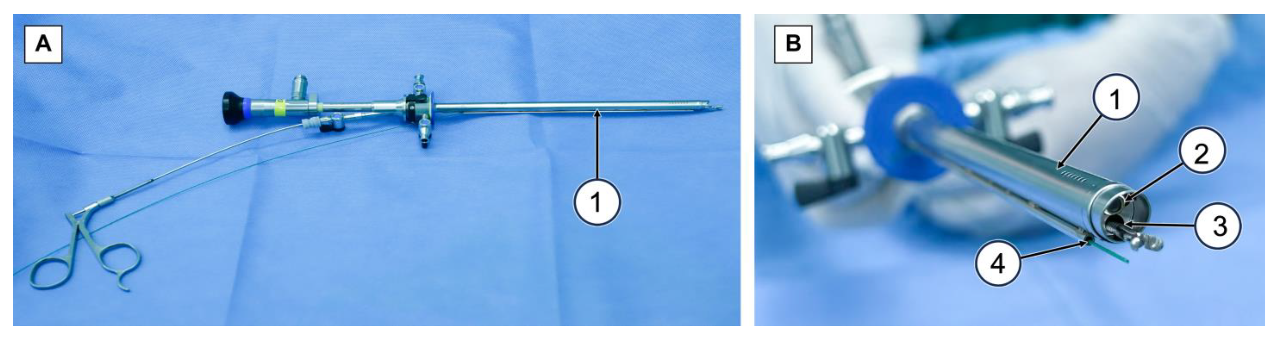 Cancers 15 04255 g002