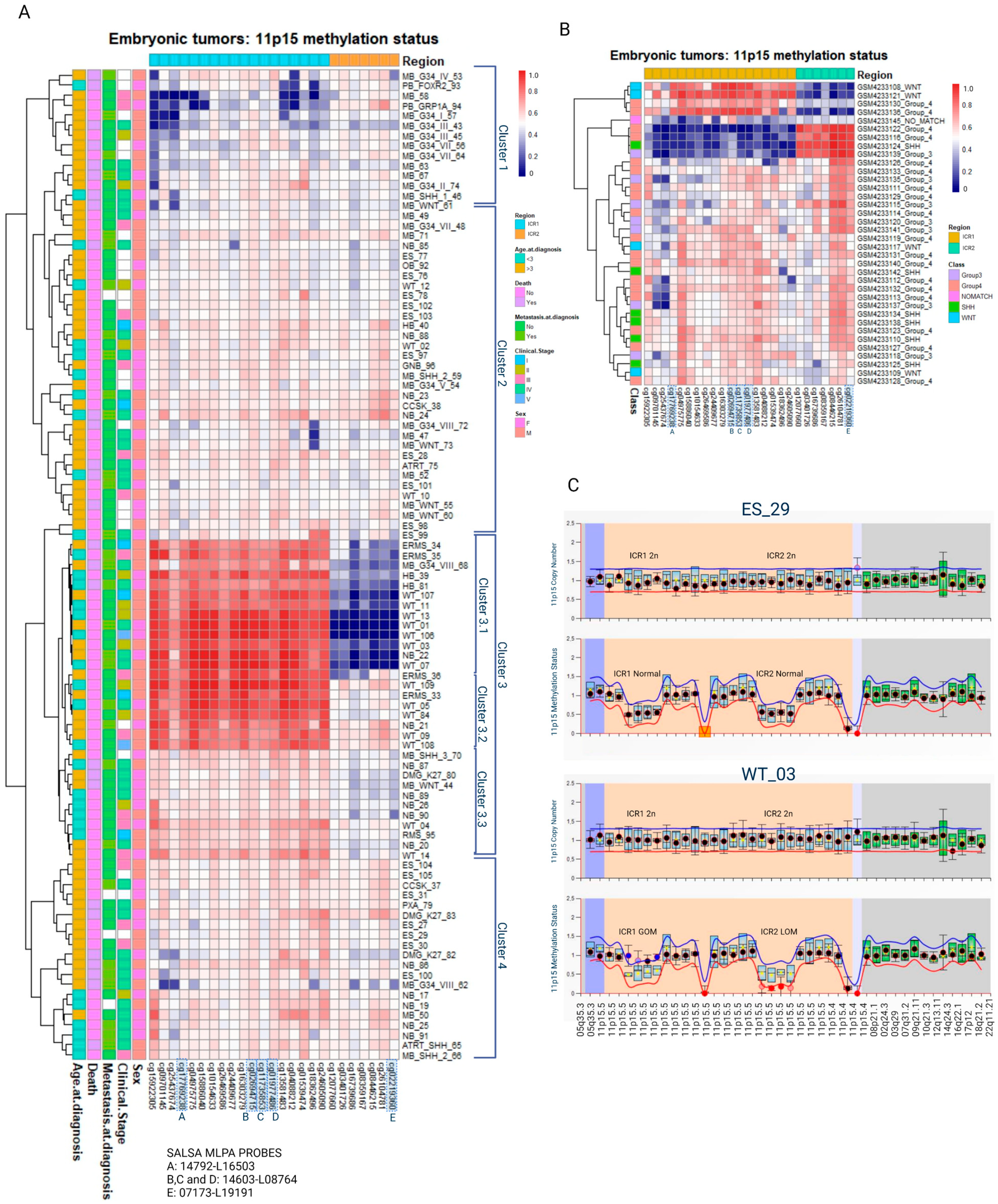 Cancers 15 04256 g001