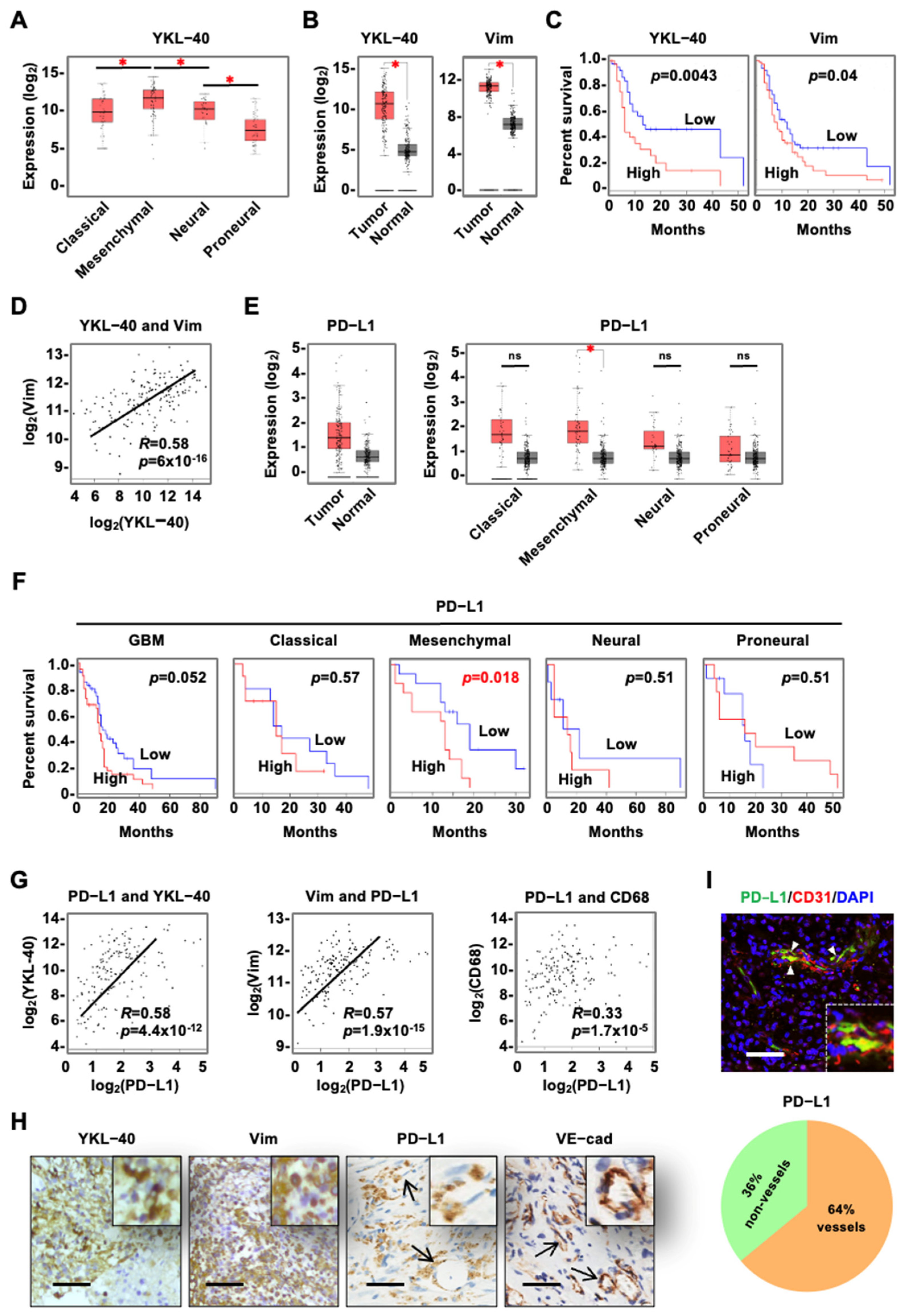Cancers 15 04257 g001