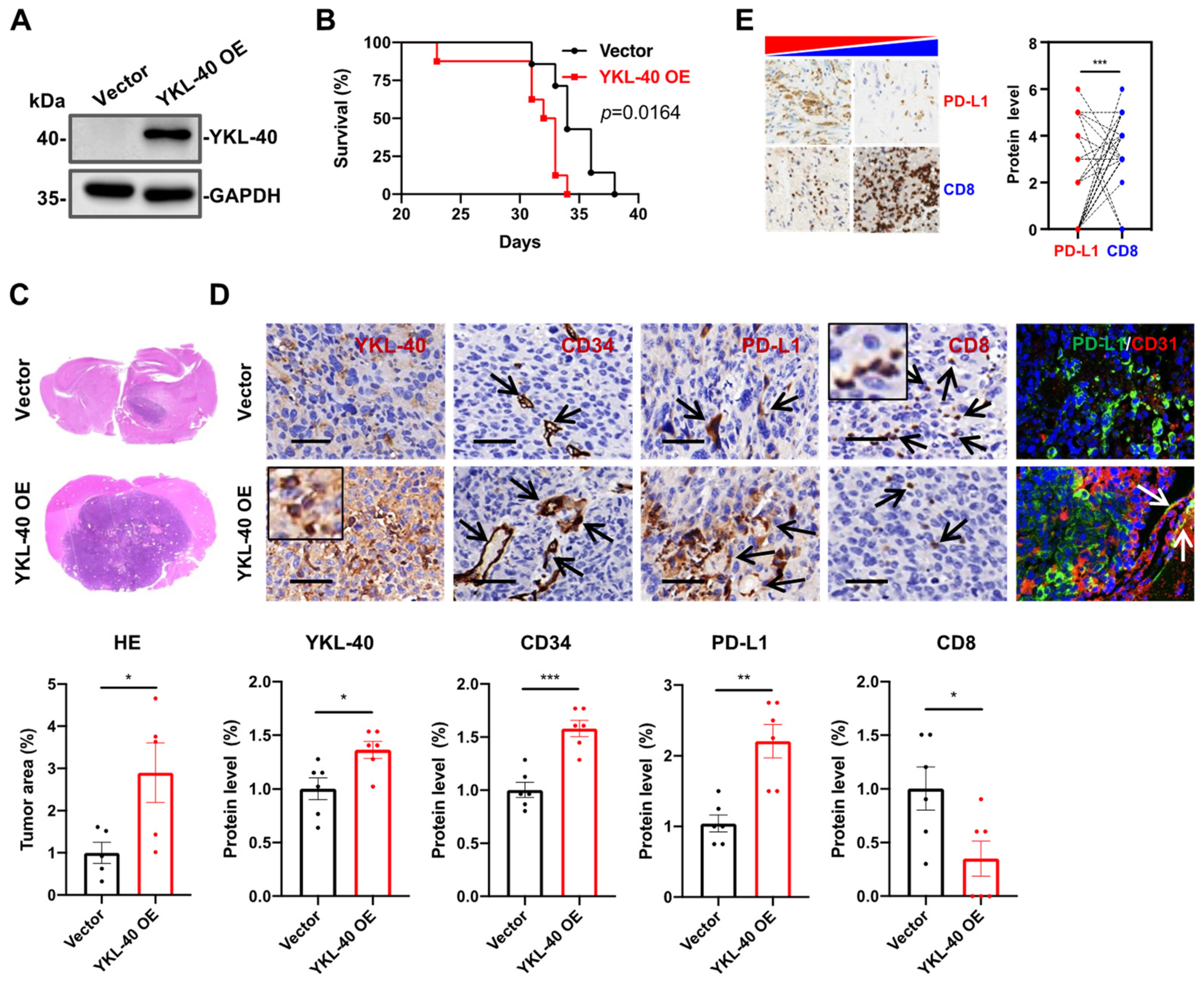 Cancers 15 04257 g002
