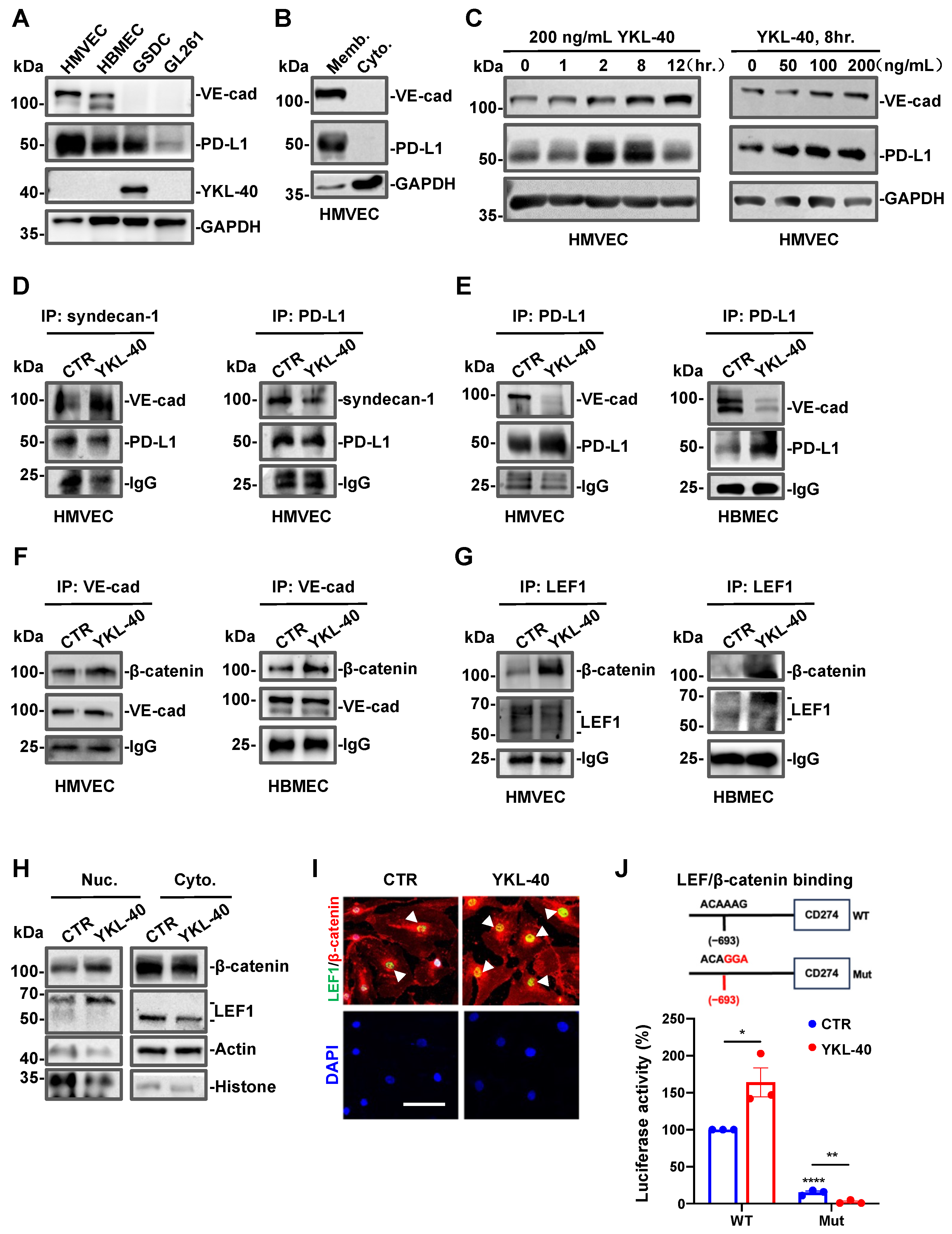 Cancers 15 04257 g003
