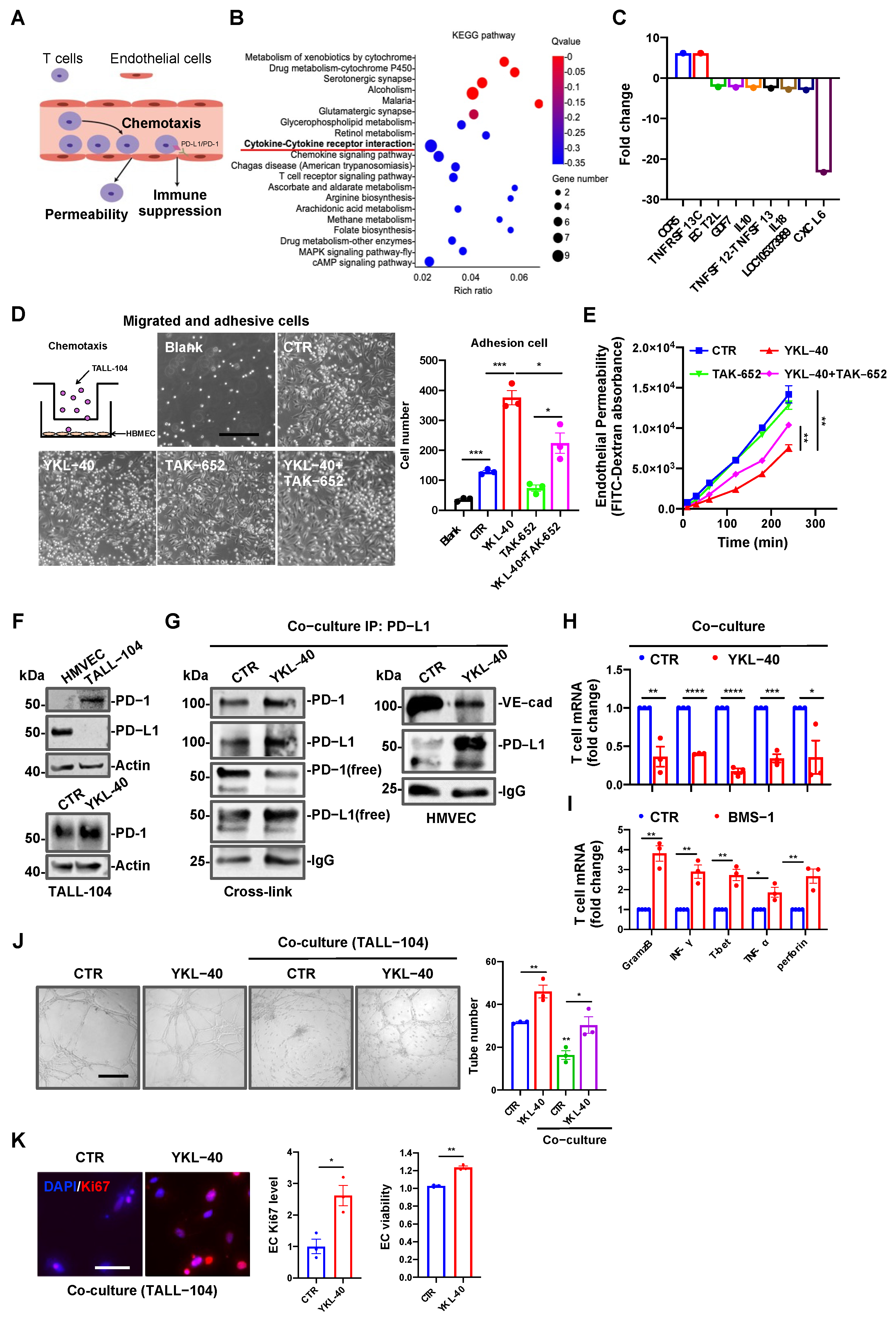 Cancers 15 04257 g005