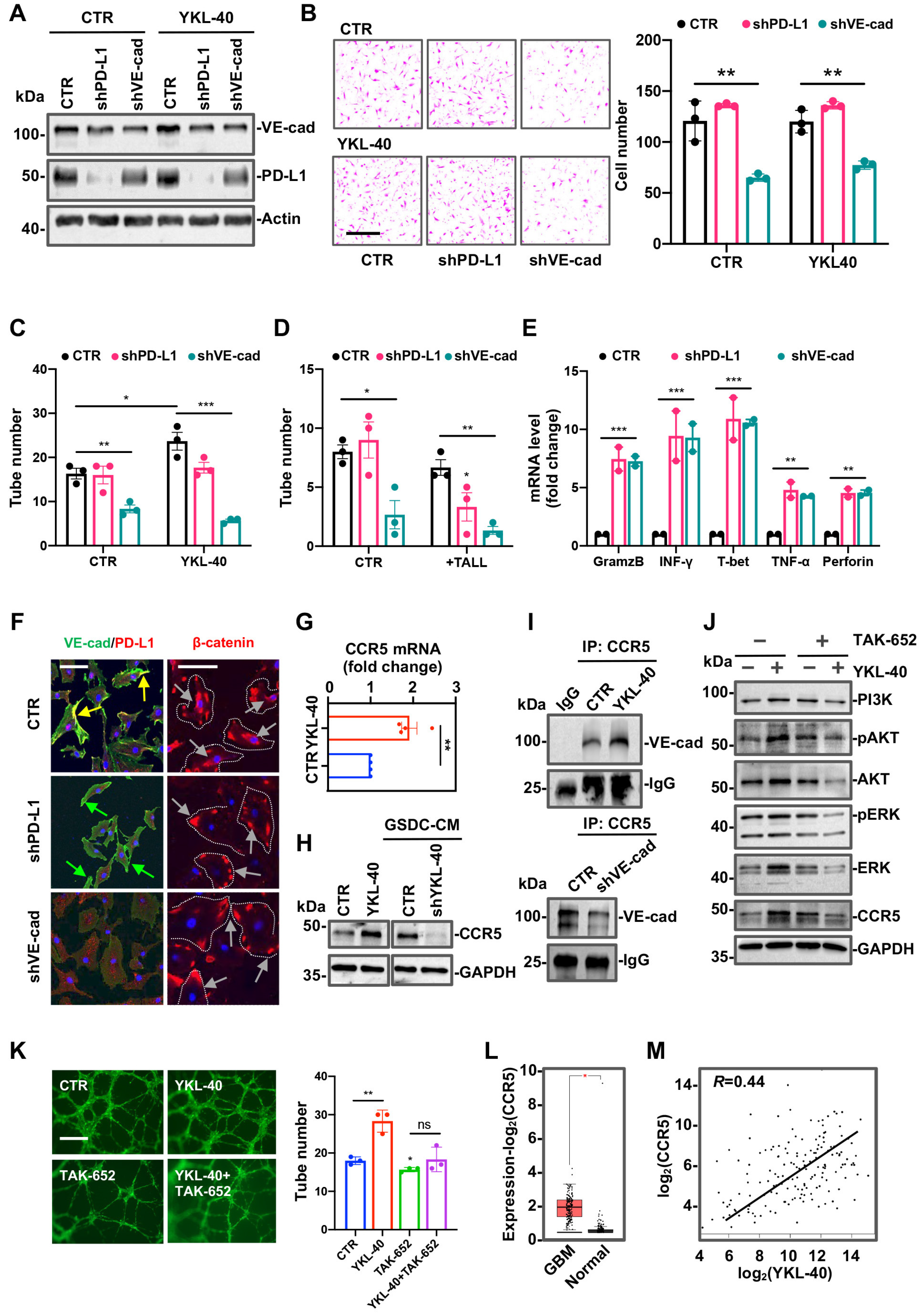 Cancers 15 04257 g006