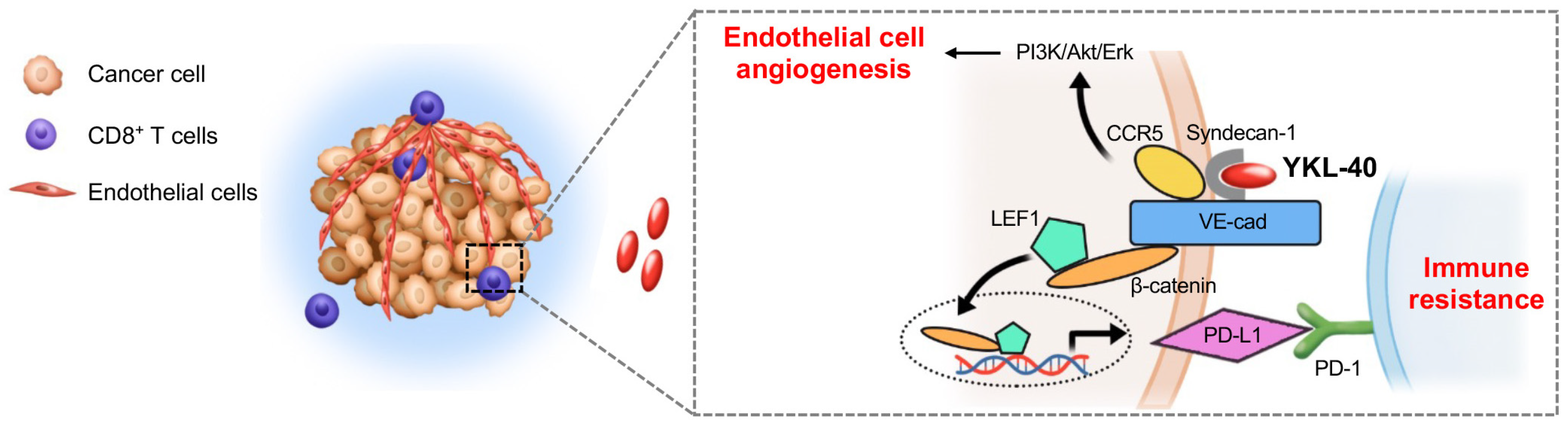 Cancers 15 04257 g007