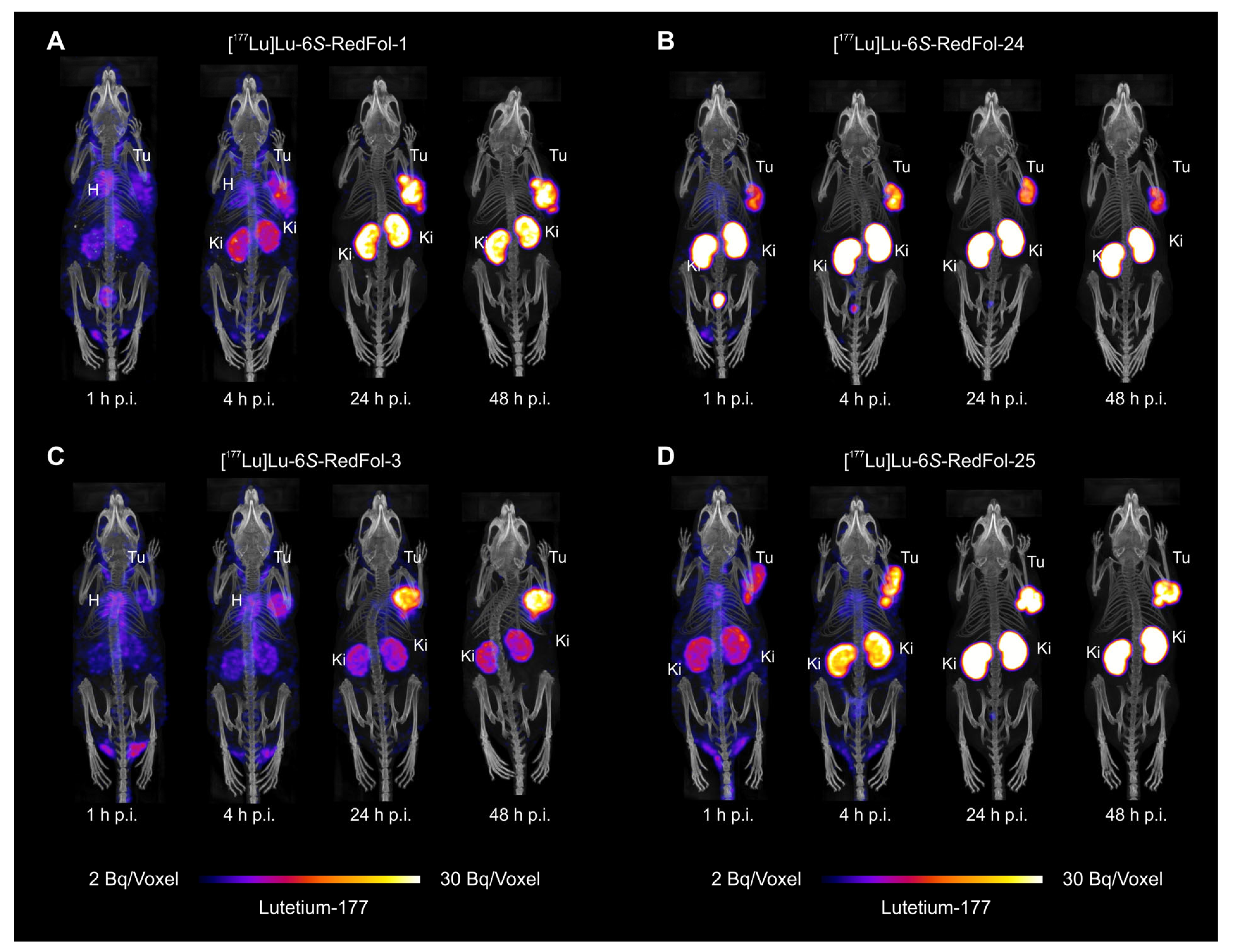 Cancers 15 04259 g006