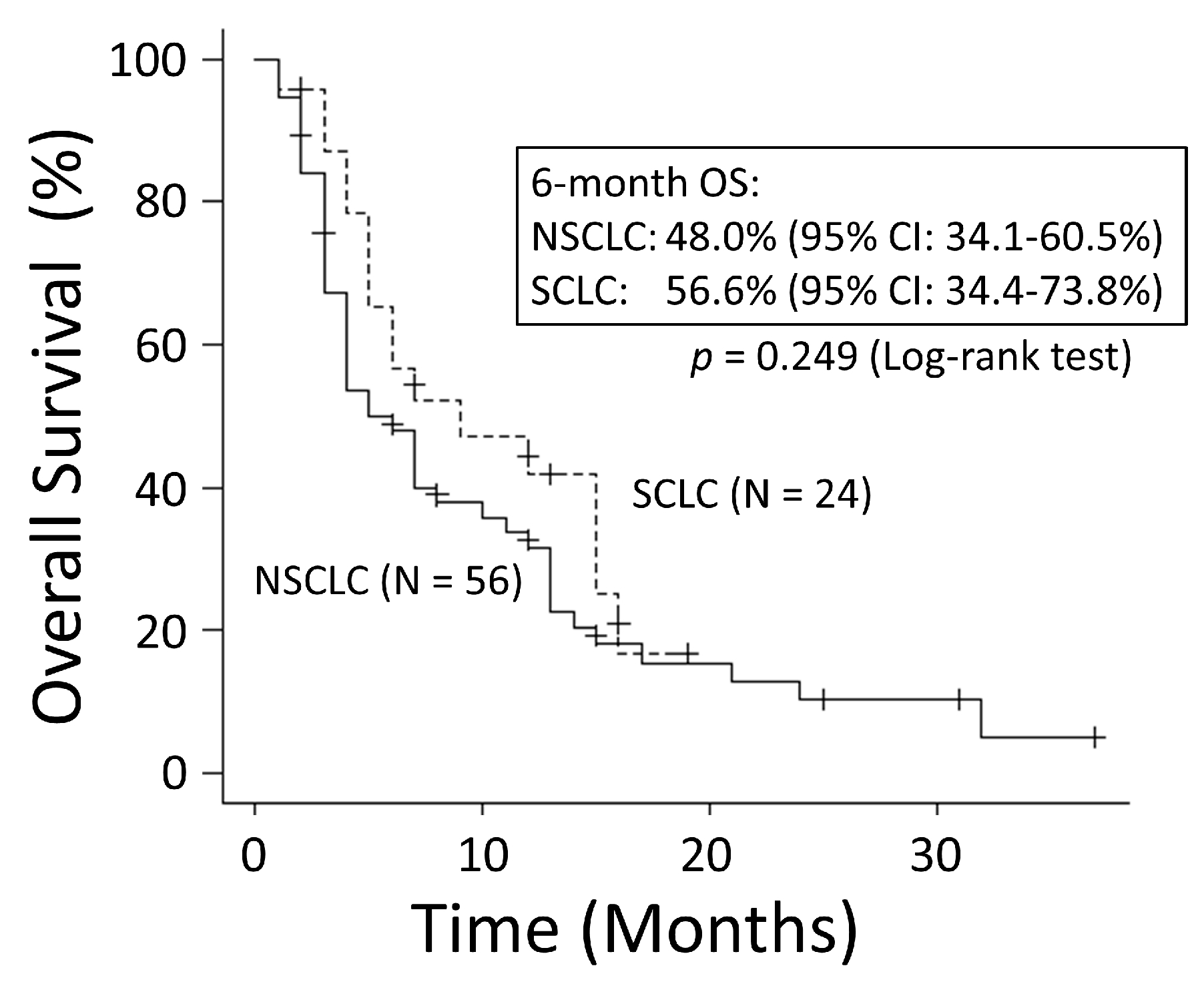 Cancers 15 04260 g001