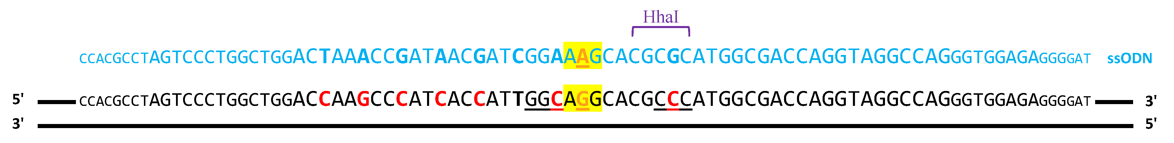 Cancers 15 04263 g003