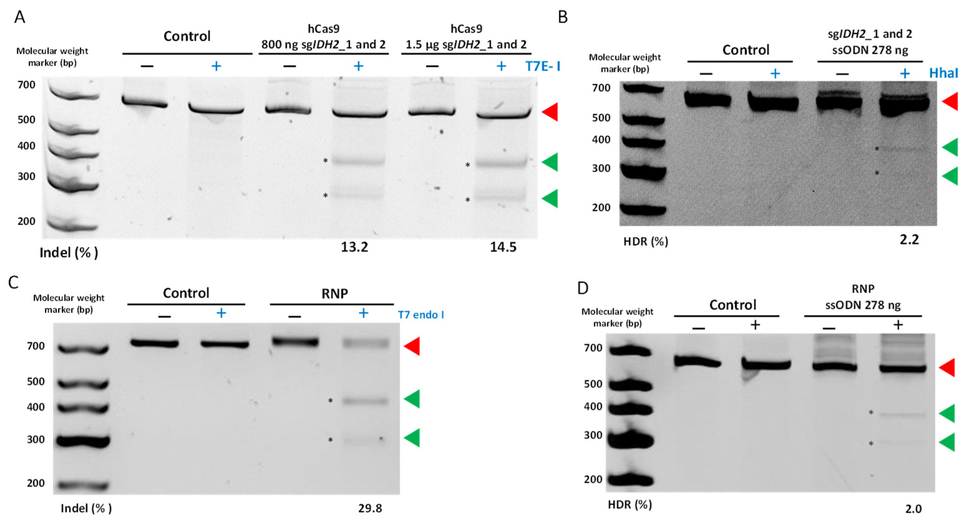 Cancers 15 04263 g005