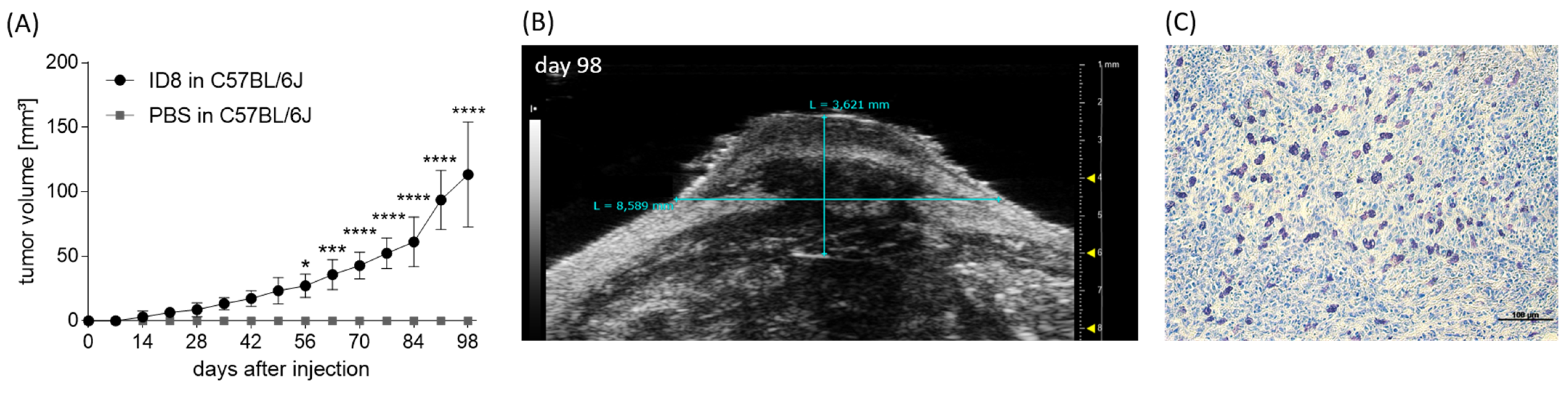 Cancers 15 04278 g003