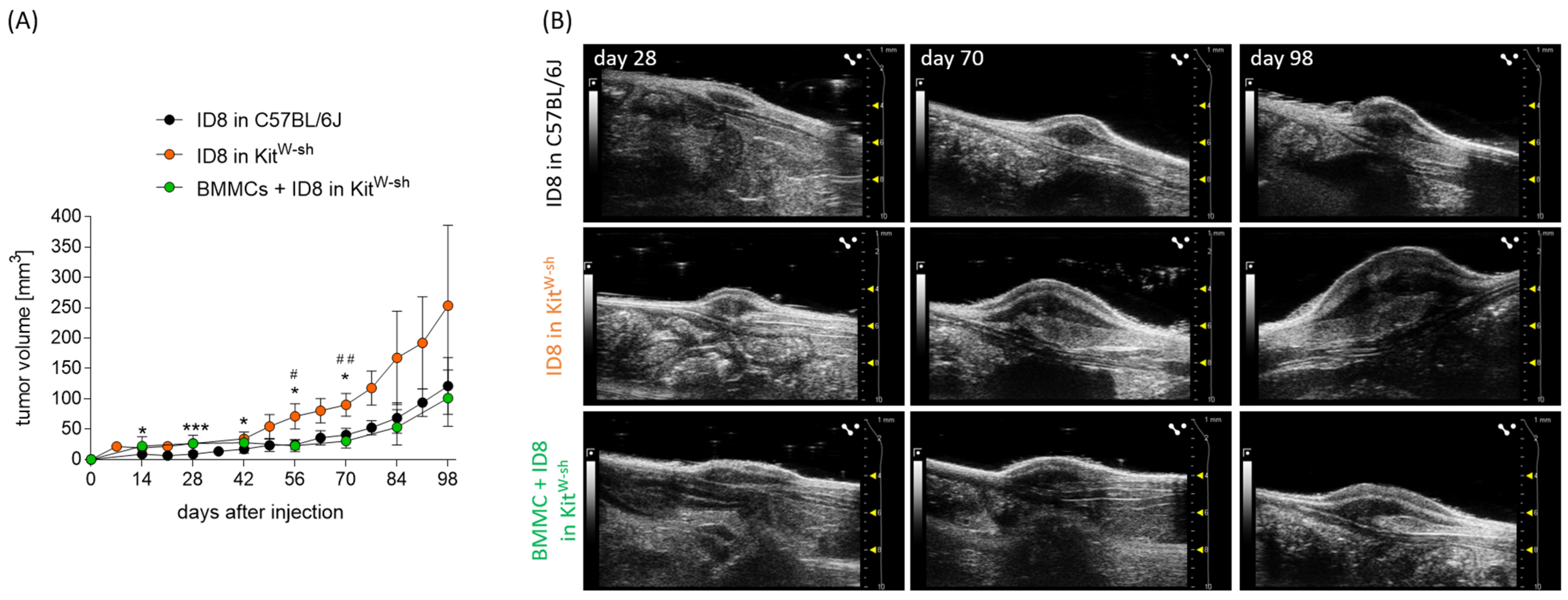 Cancers 15 04278 g005