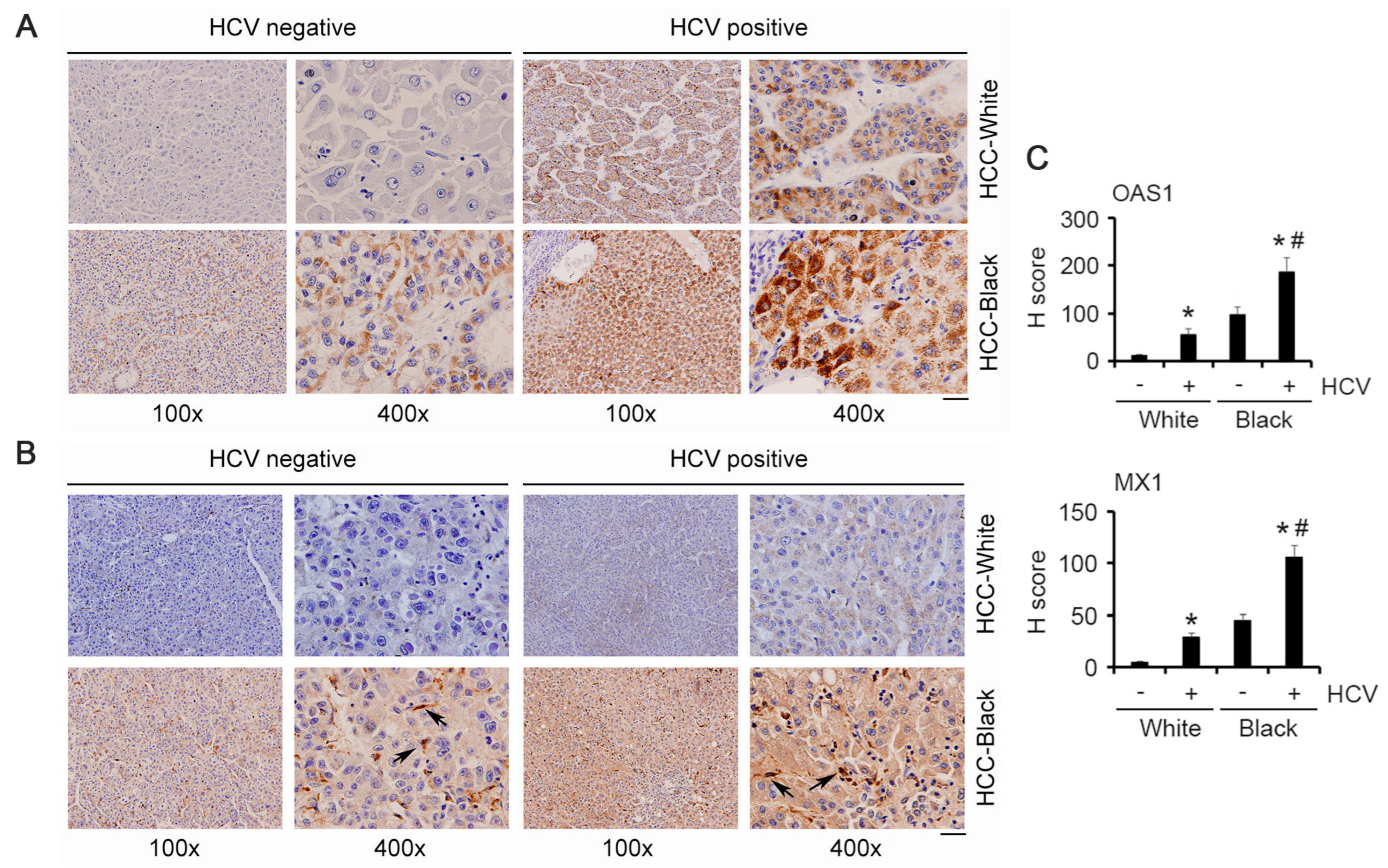 Cancers 15 04283 g004