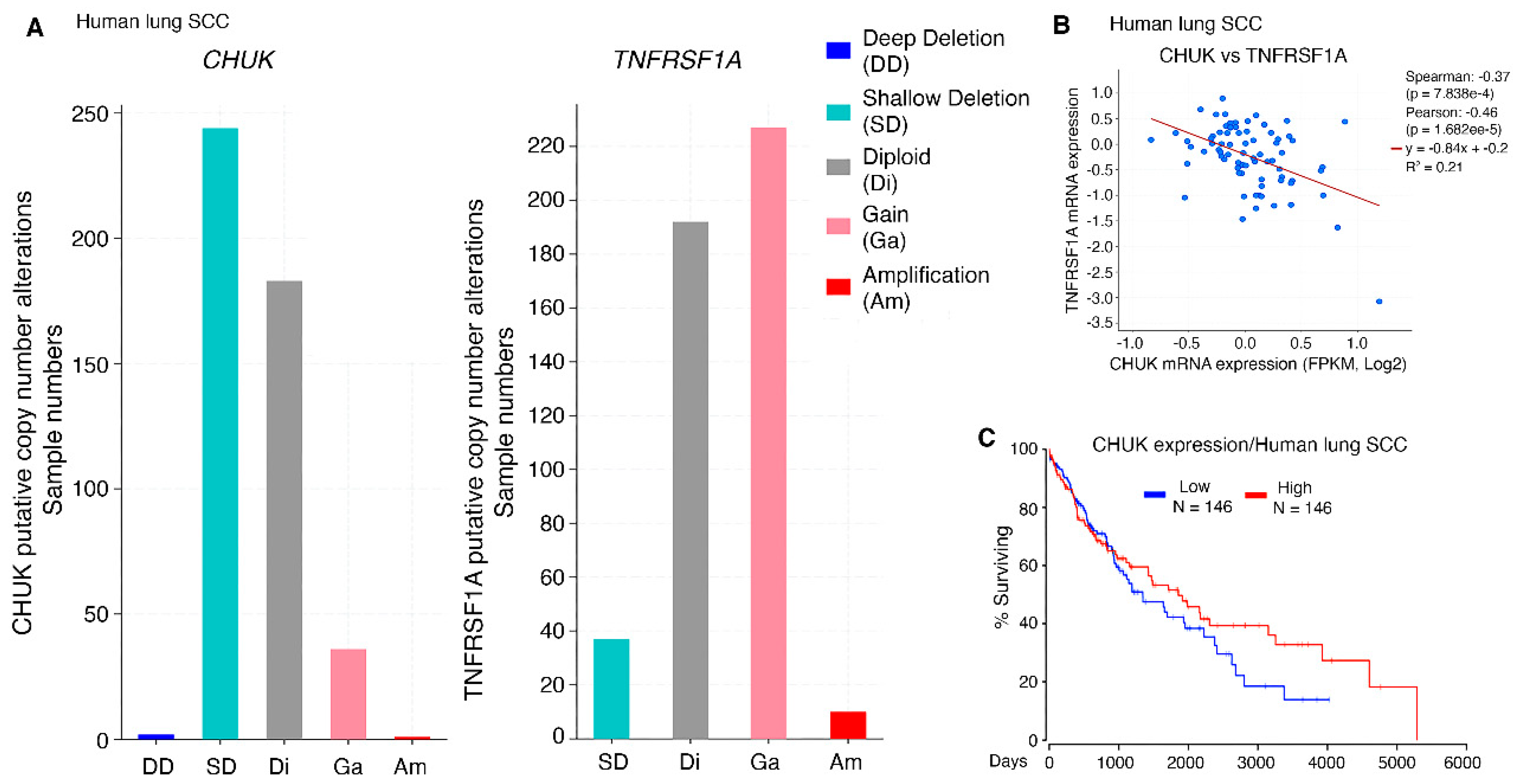 Cancers 15 04299 g002