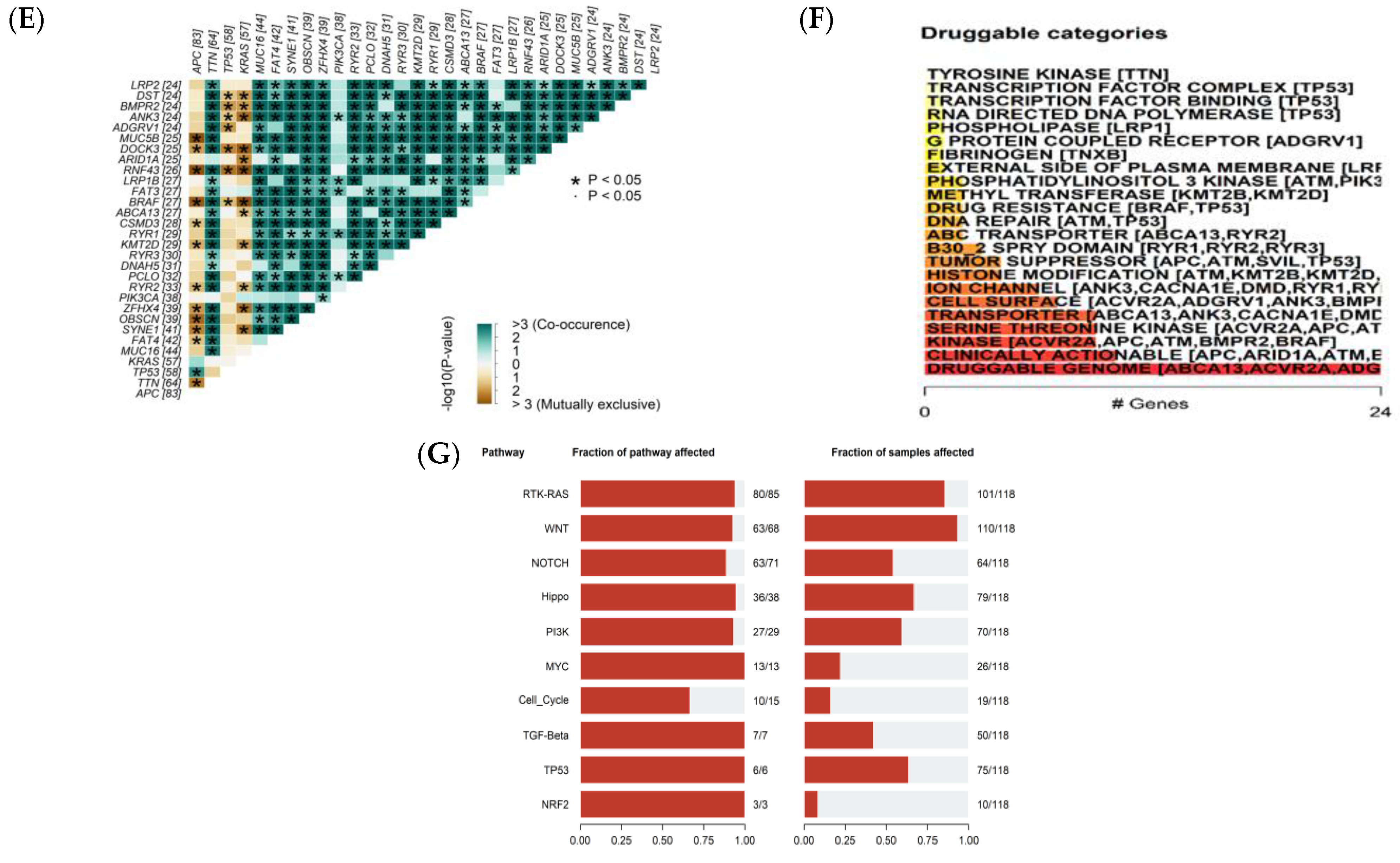 Cancers 15 04300 g001b
