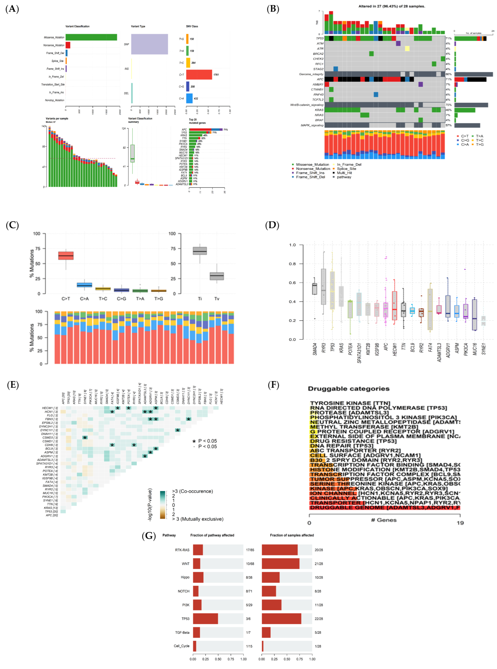 Cancers 15 04300 g002