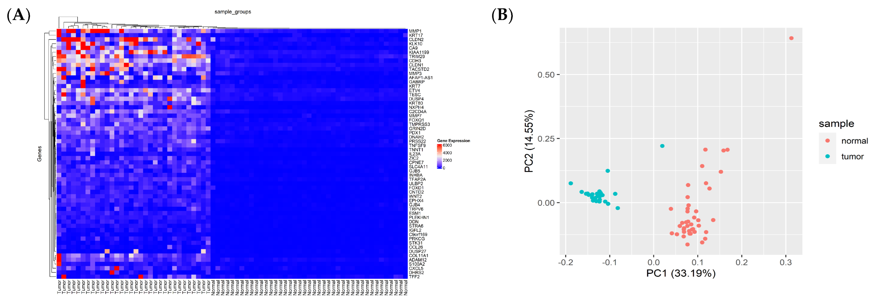 Cancers 15 04300 g003a
