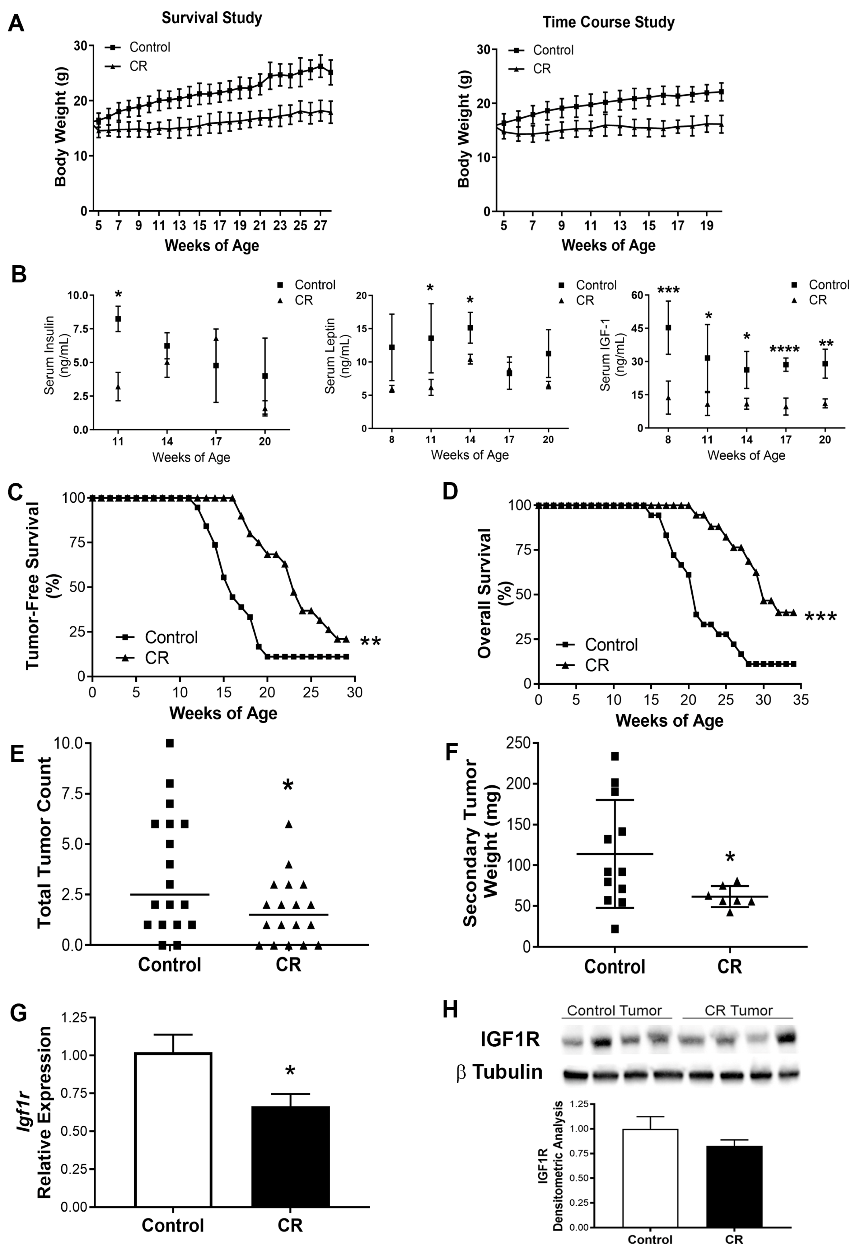 Cancers 15 04320 g001