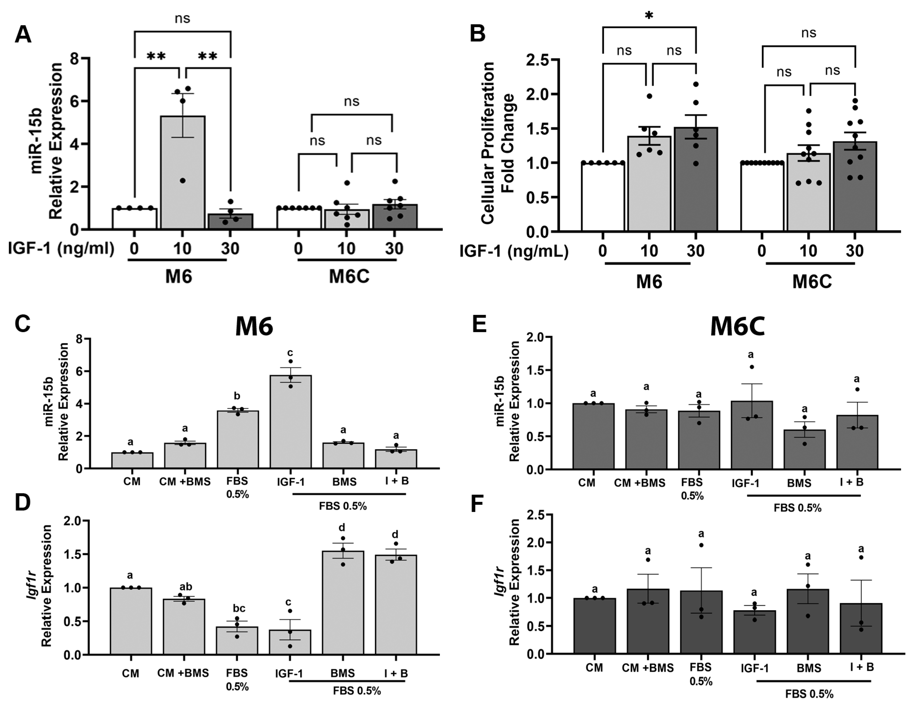 Cancers 15 04320 g005