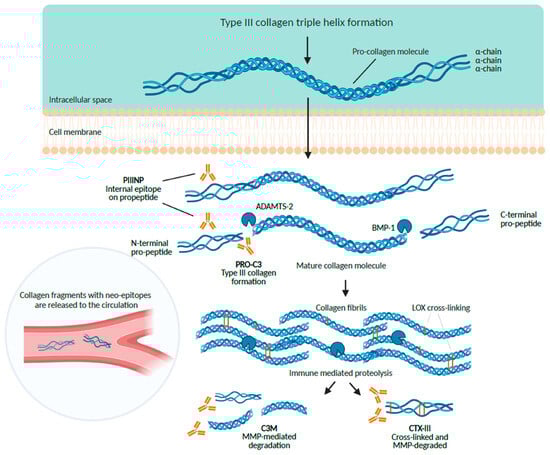 Cancers 15 04323 g001