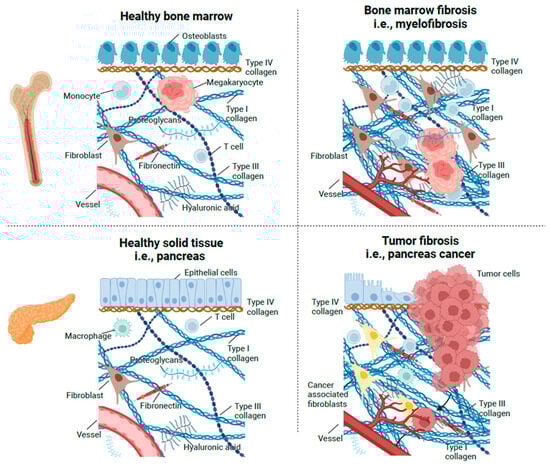 Cancers 15 04323 g002