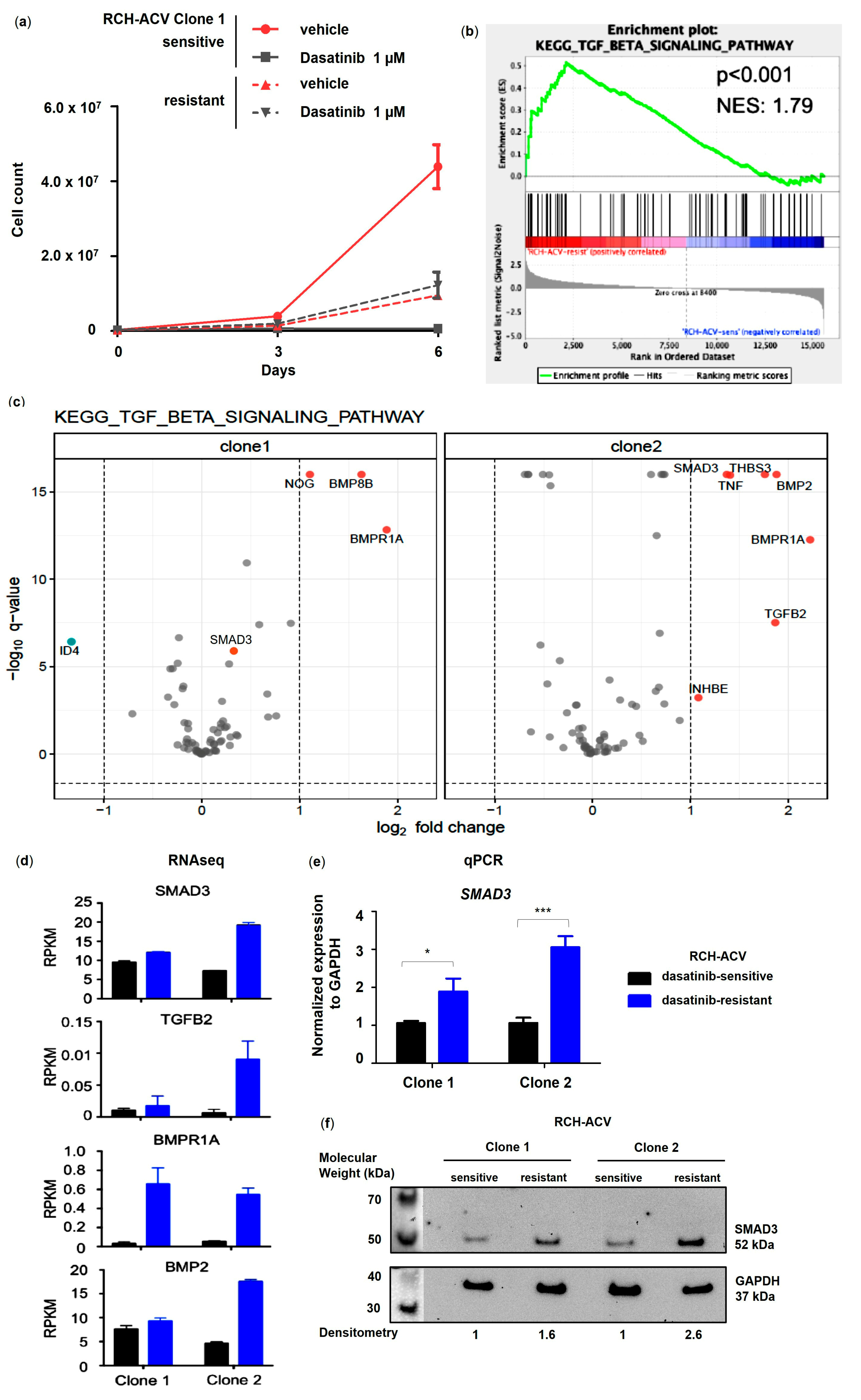 Cancers 15 04328 g001