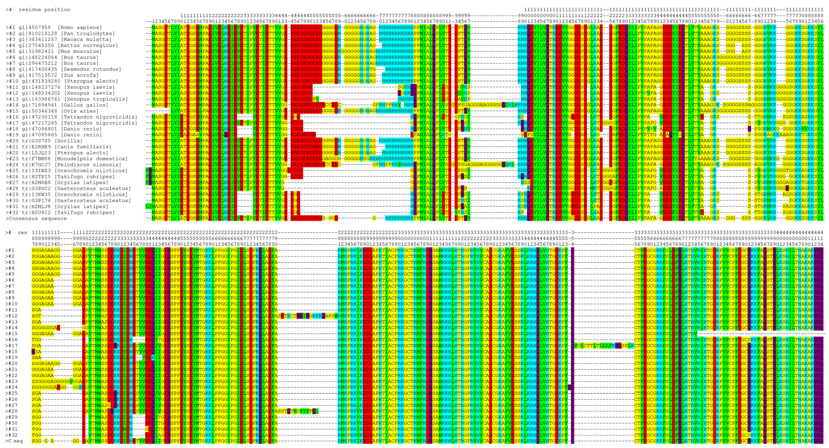Cancers 15 04338 g001 Cancers 15 04338 g001