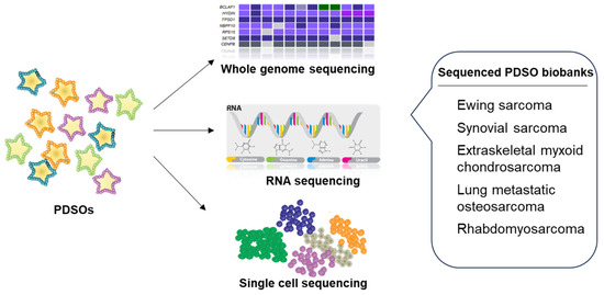 Cancers 15 04339 g004