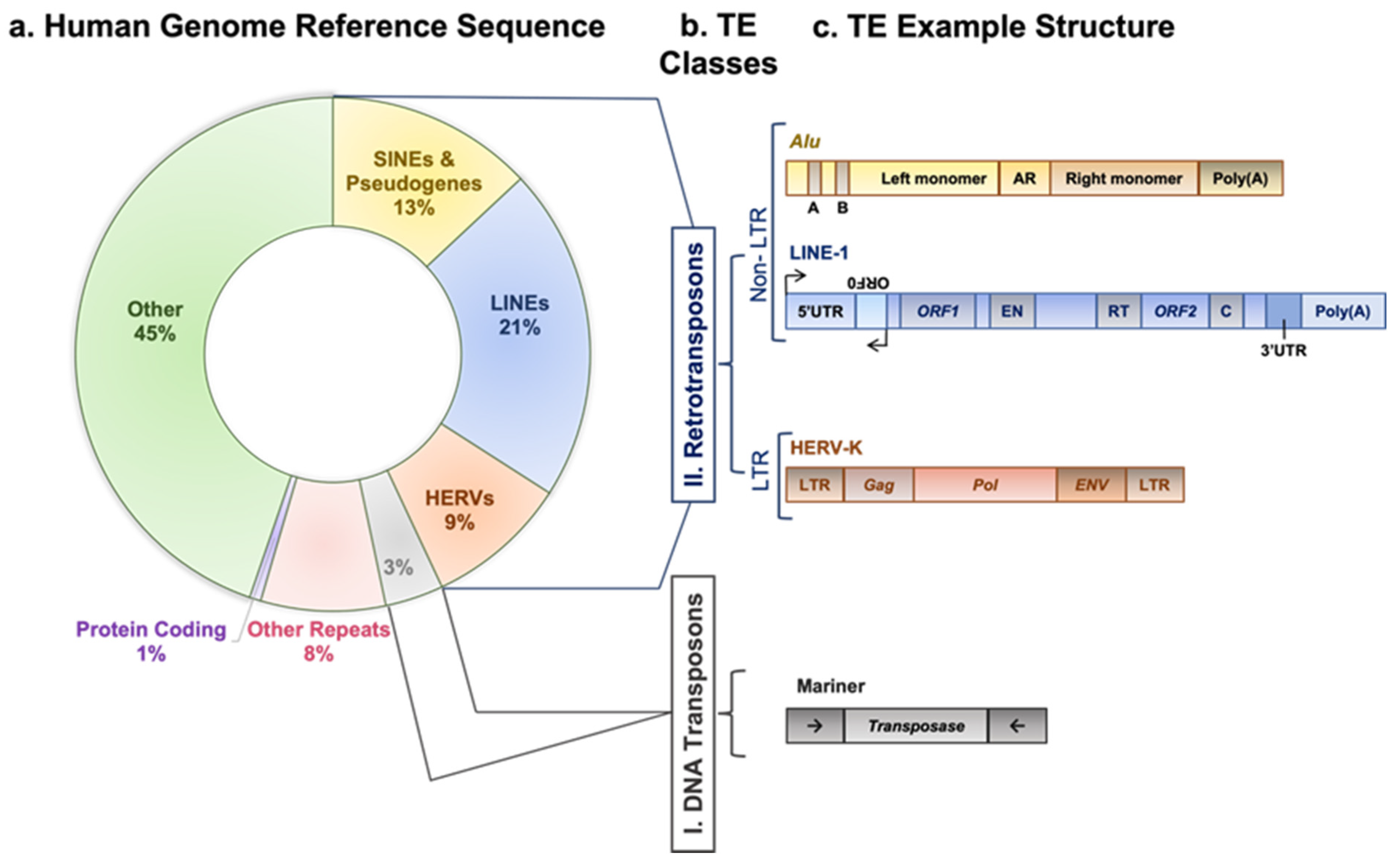 Cancers 15 04340 g001