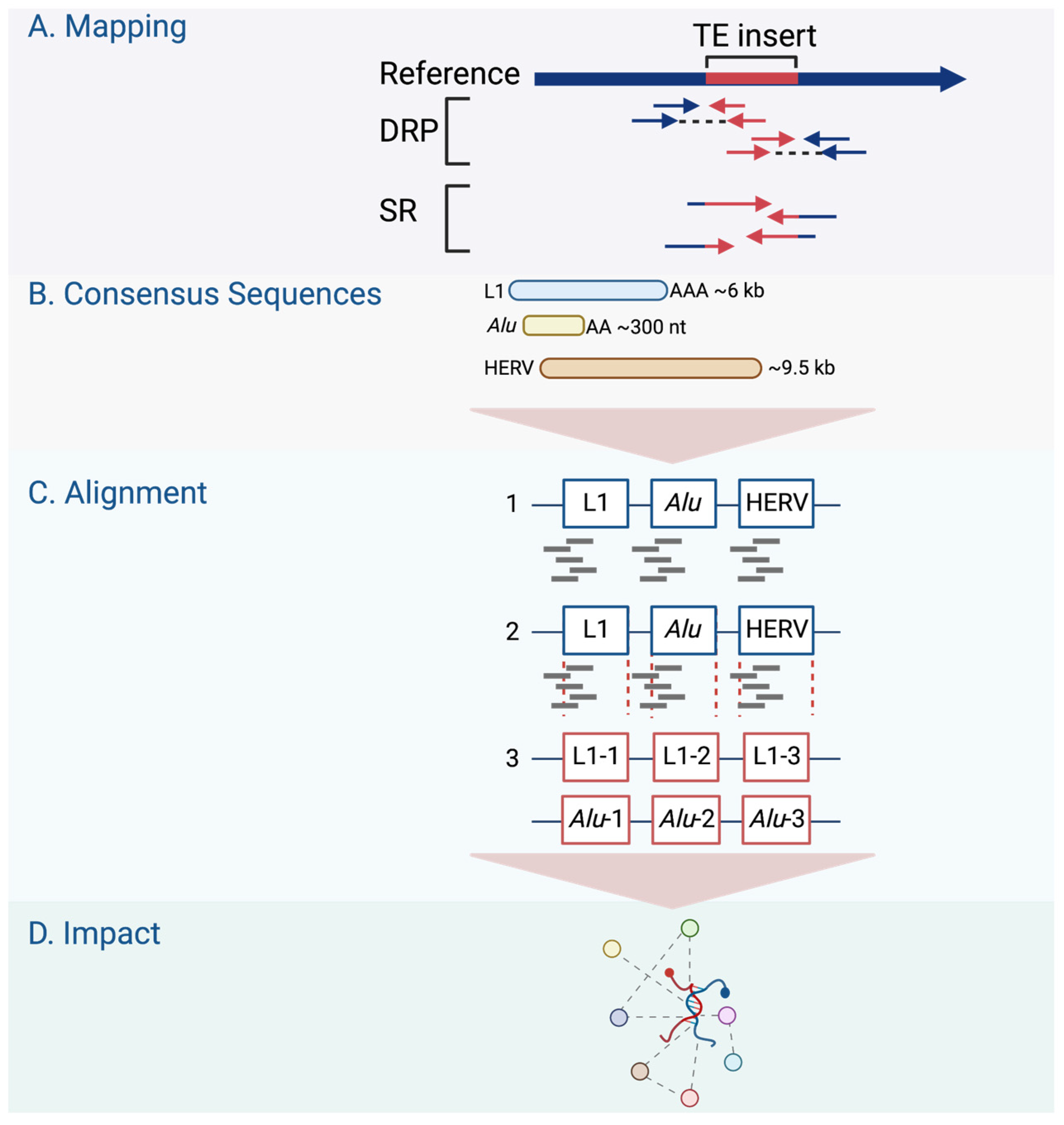 Cancers 15 04340 g003