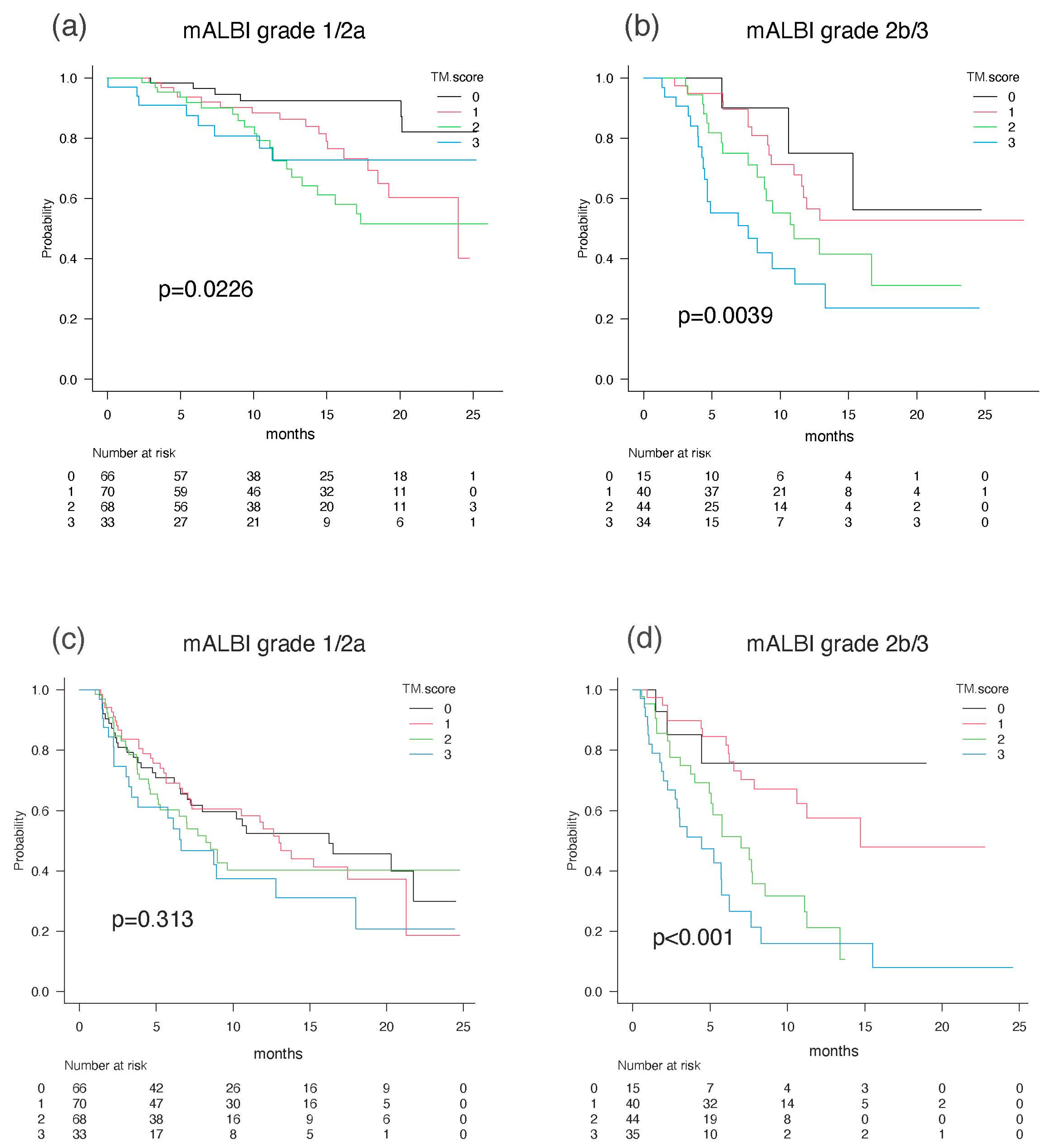 Cancers 15 04348 g006