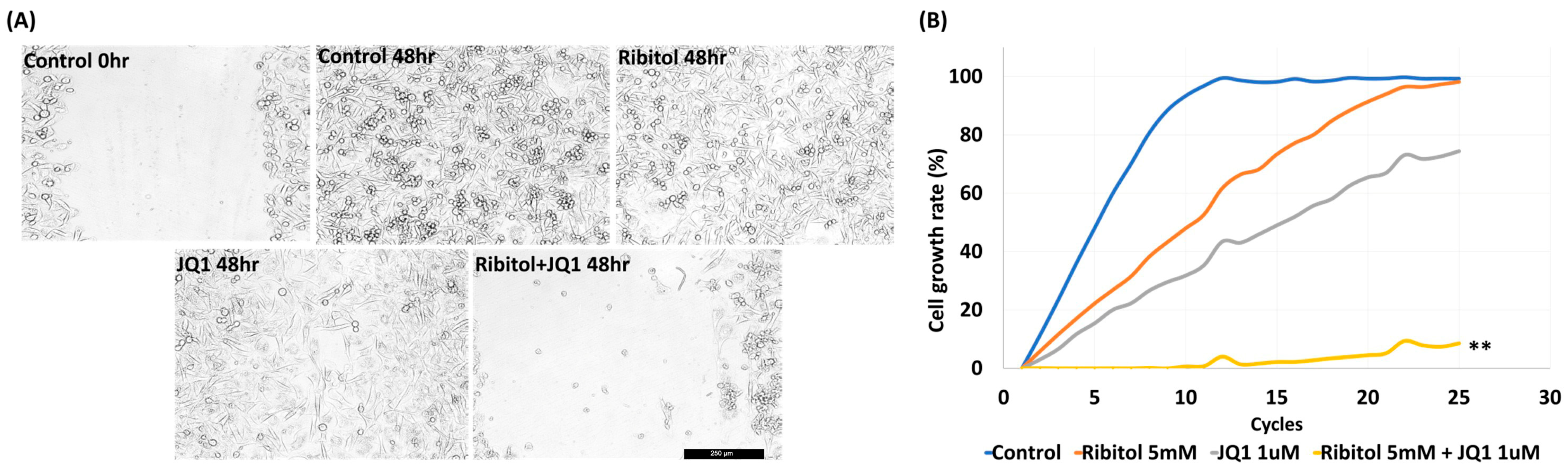 Cancers 15 04356 g003