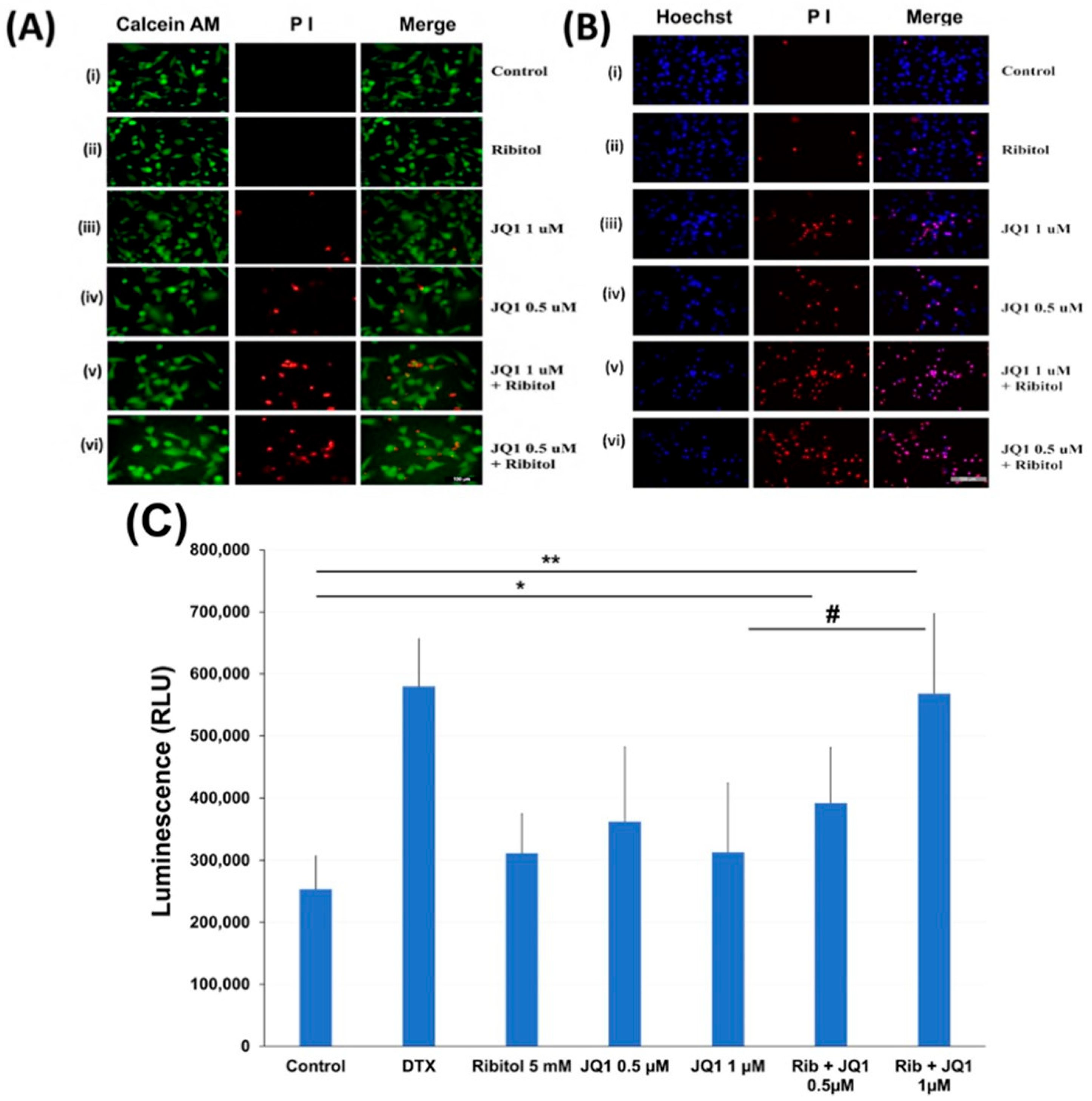 Cancers 15 04356 g004
