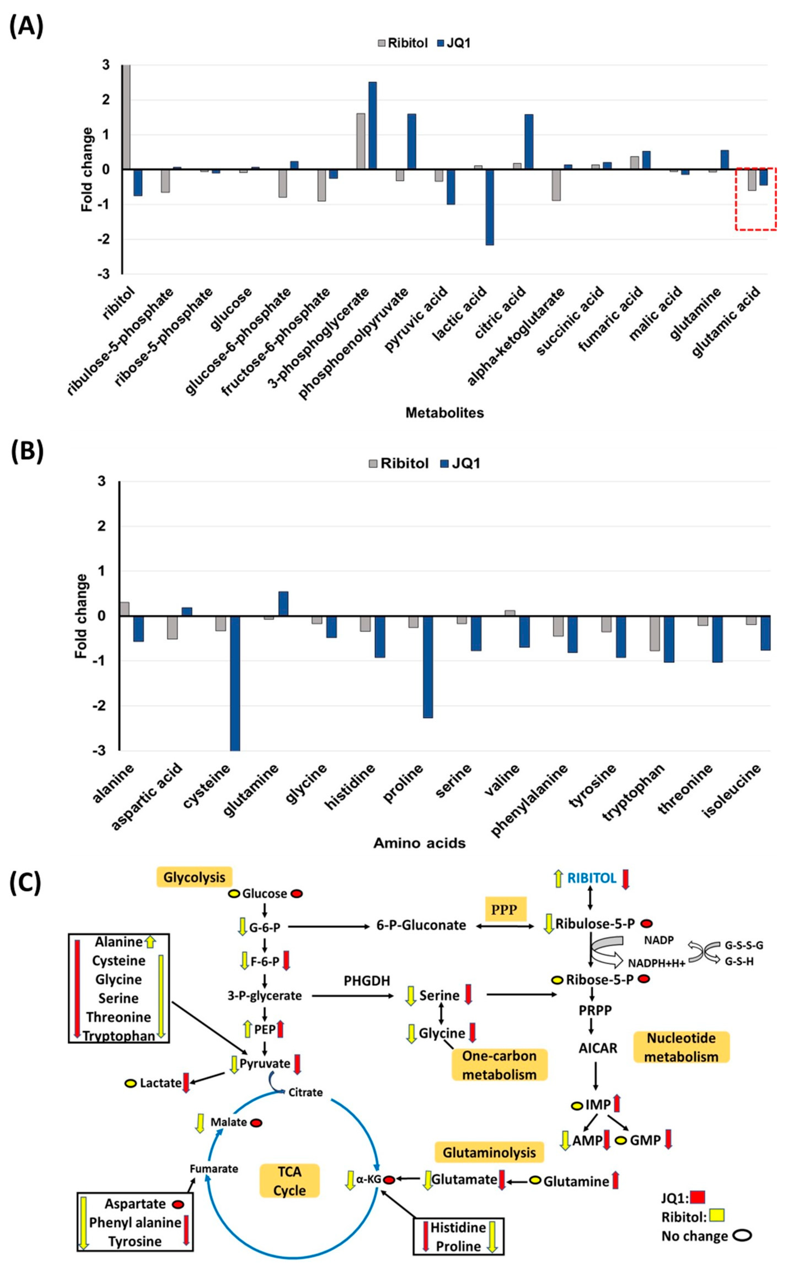 Cancers 15 04356 g006
