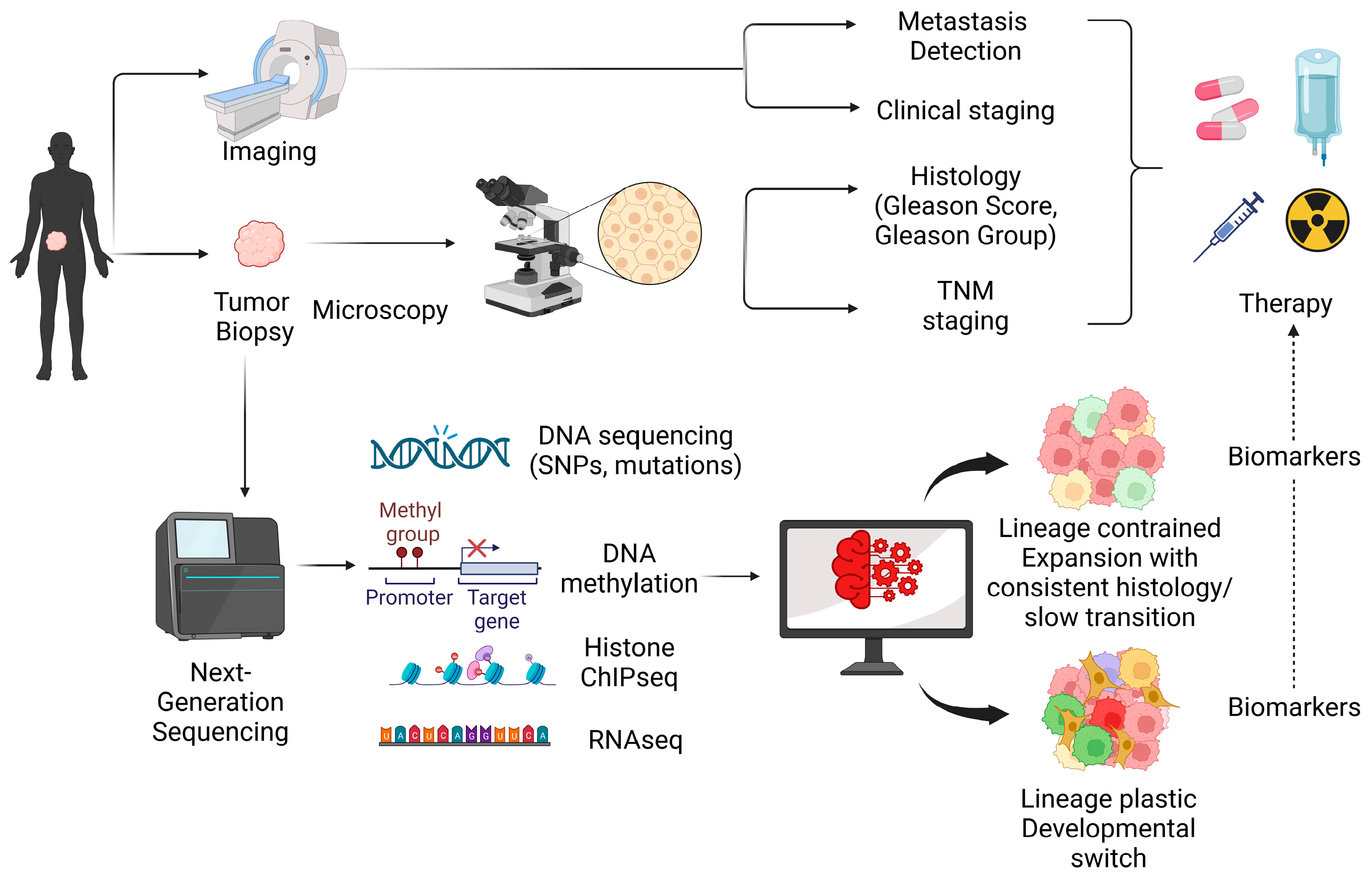Cancers 15 04357 g001