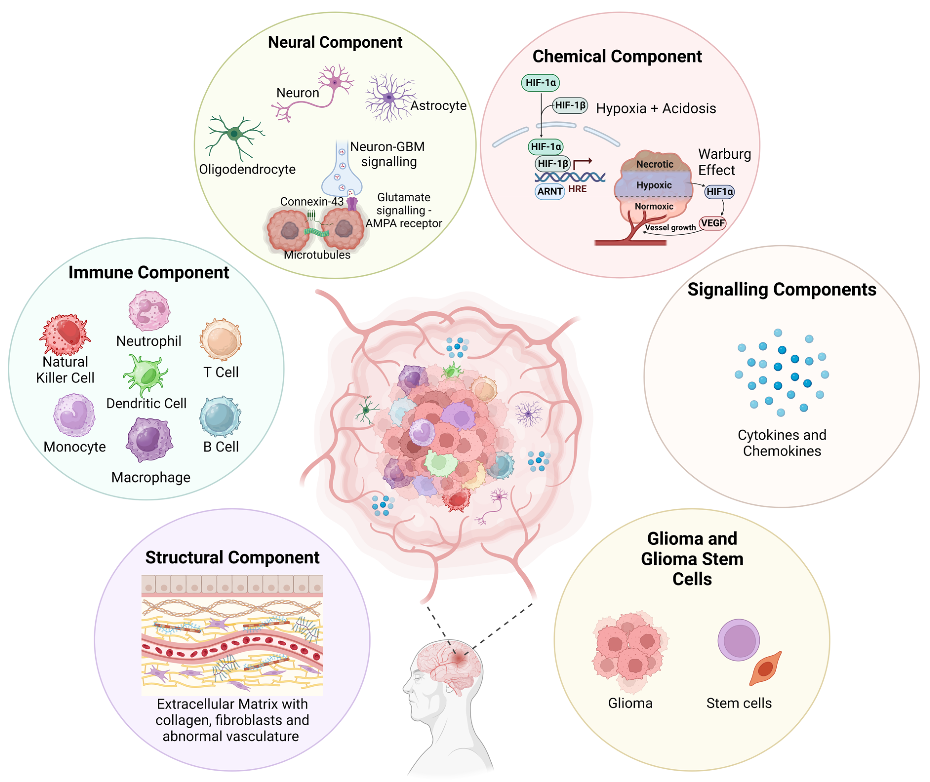 Cancers 15 04376 g001