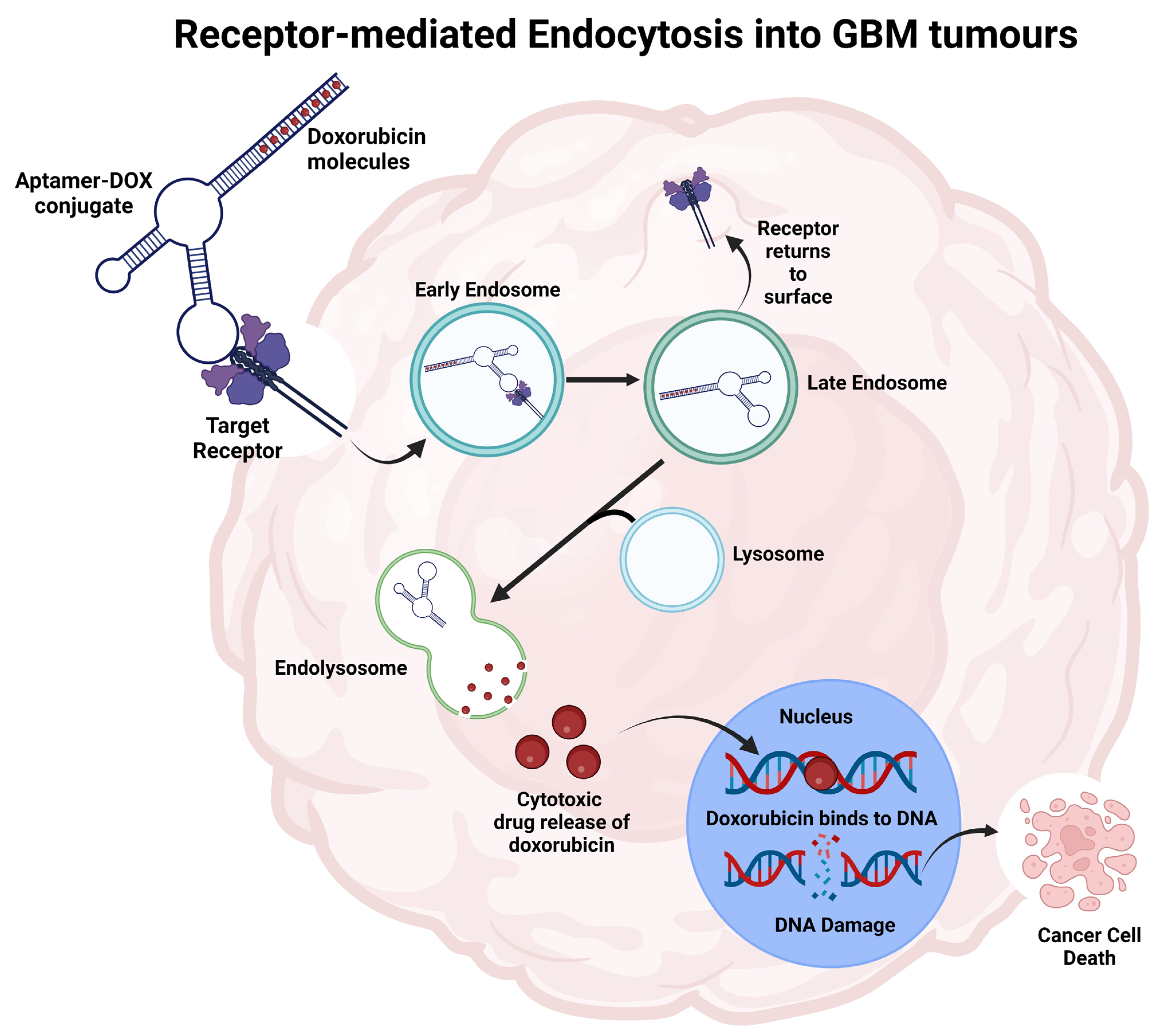 Cancers 15 04376 g003