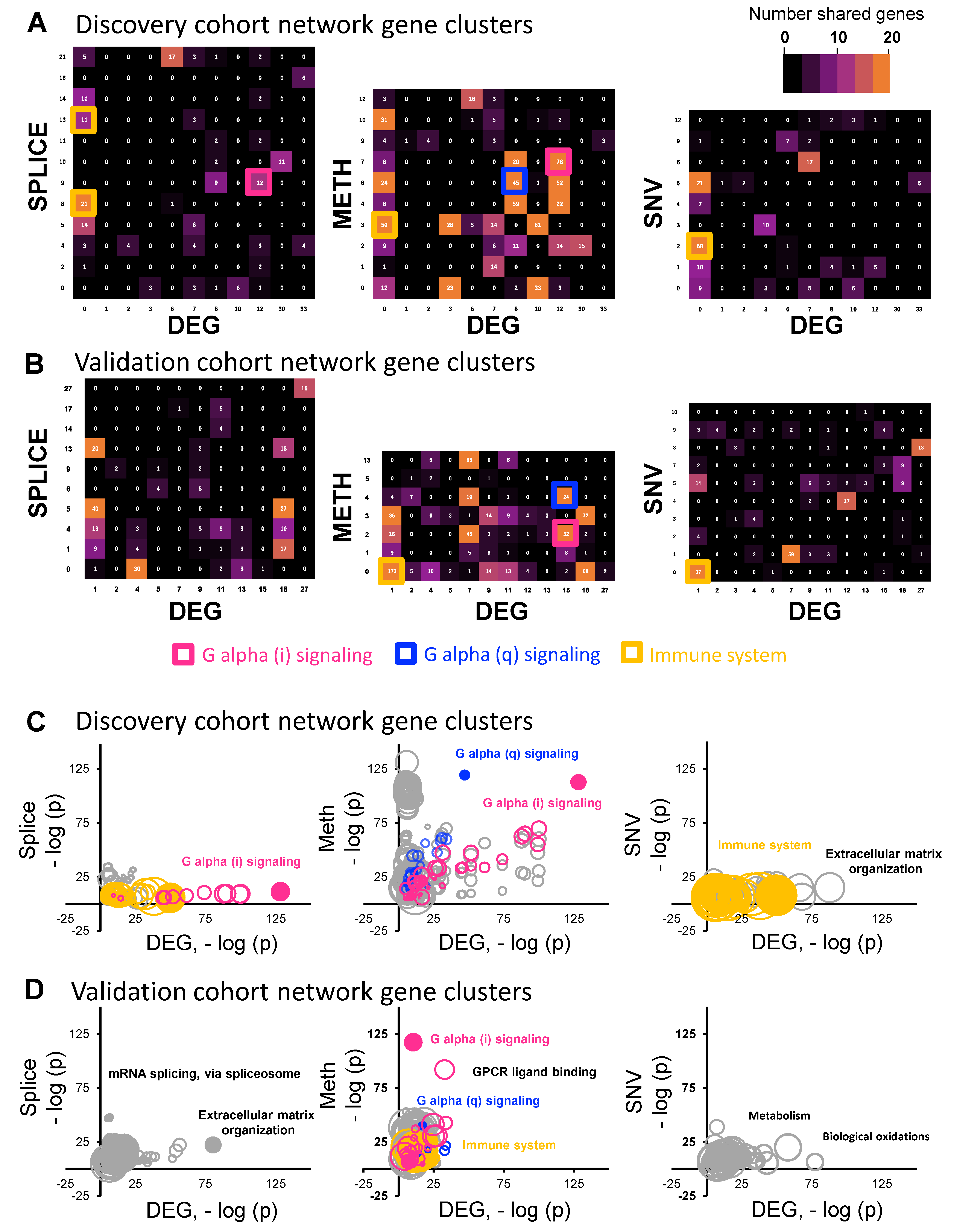 Cancers 15 04379 g002