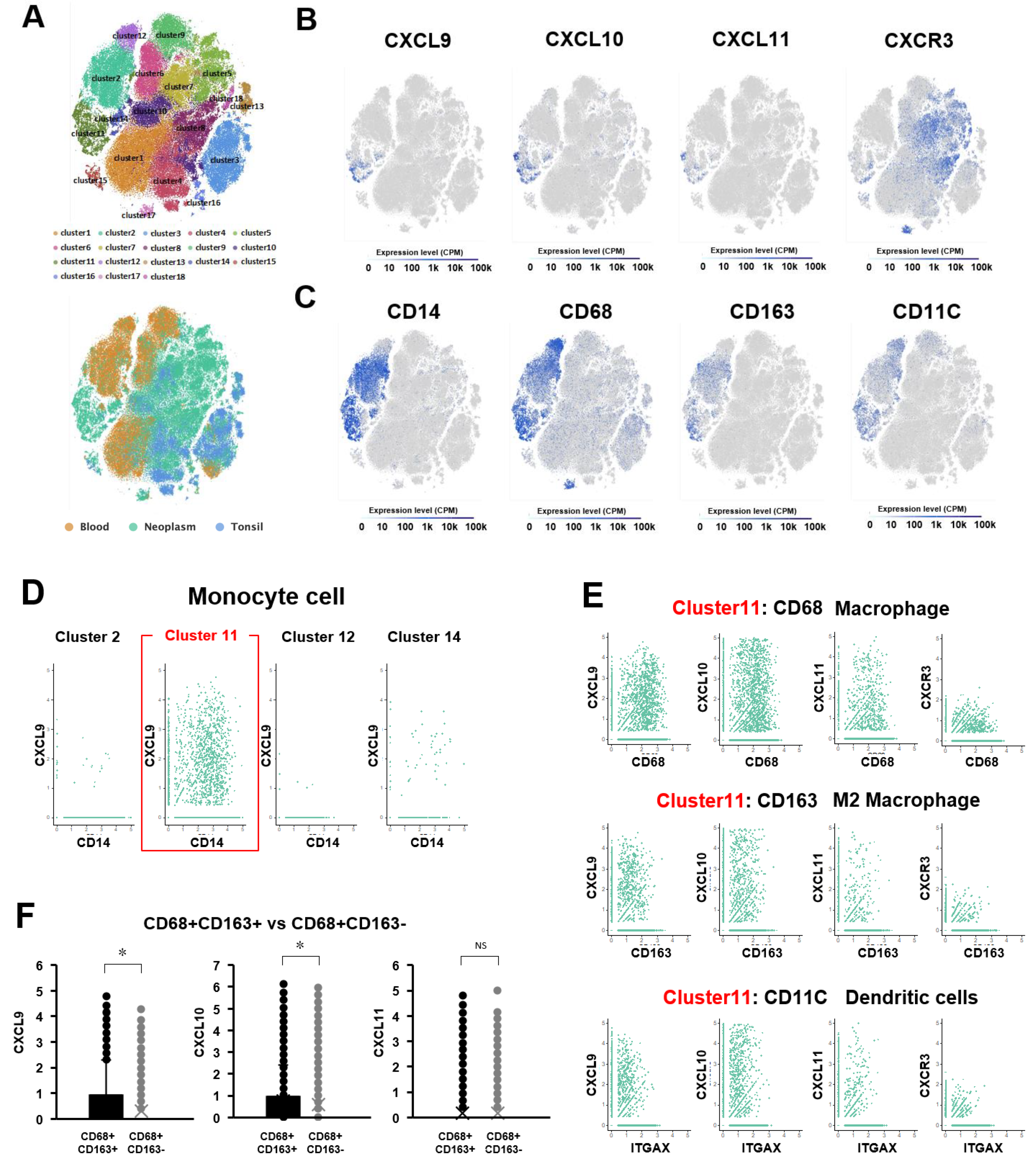 Cancers 15 04379 g004