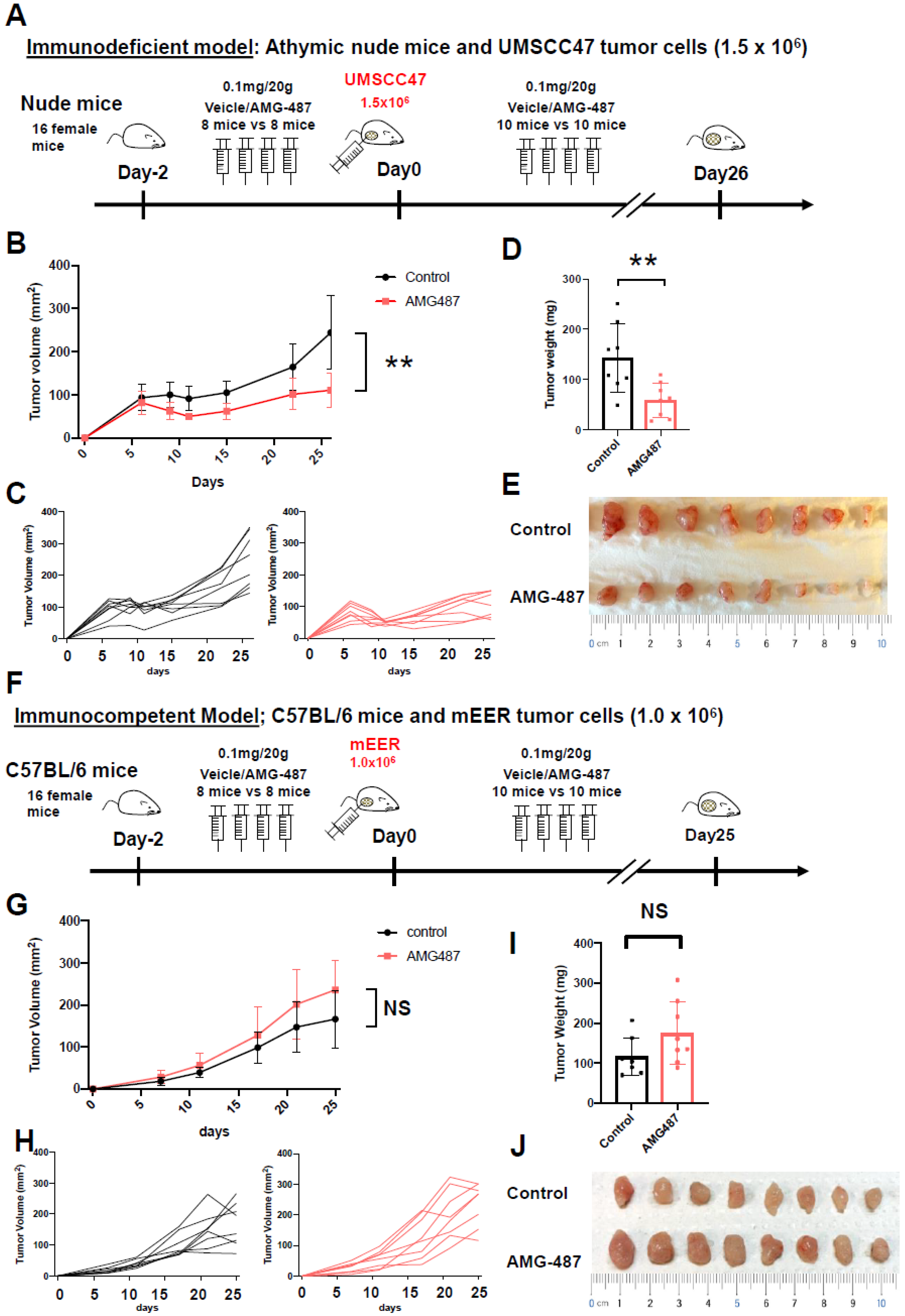 Cancers 15 04379 g006