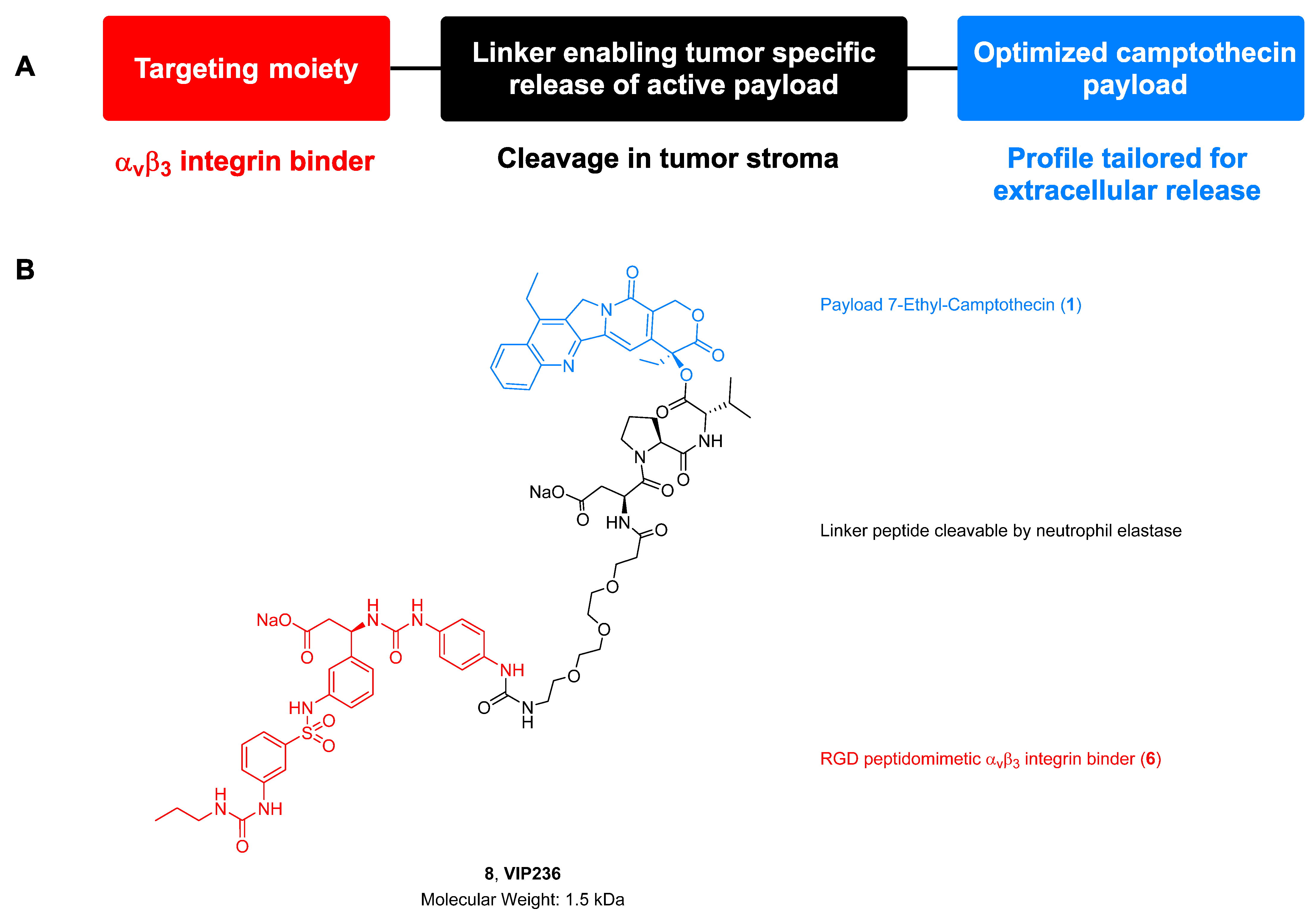 Cancers 15 04381 g001