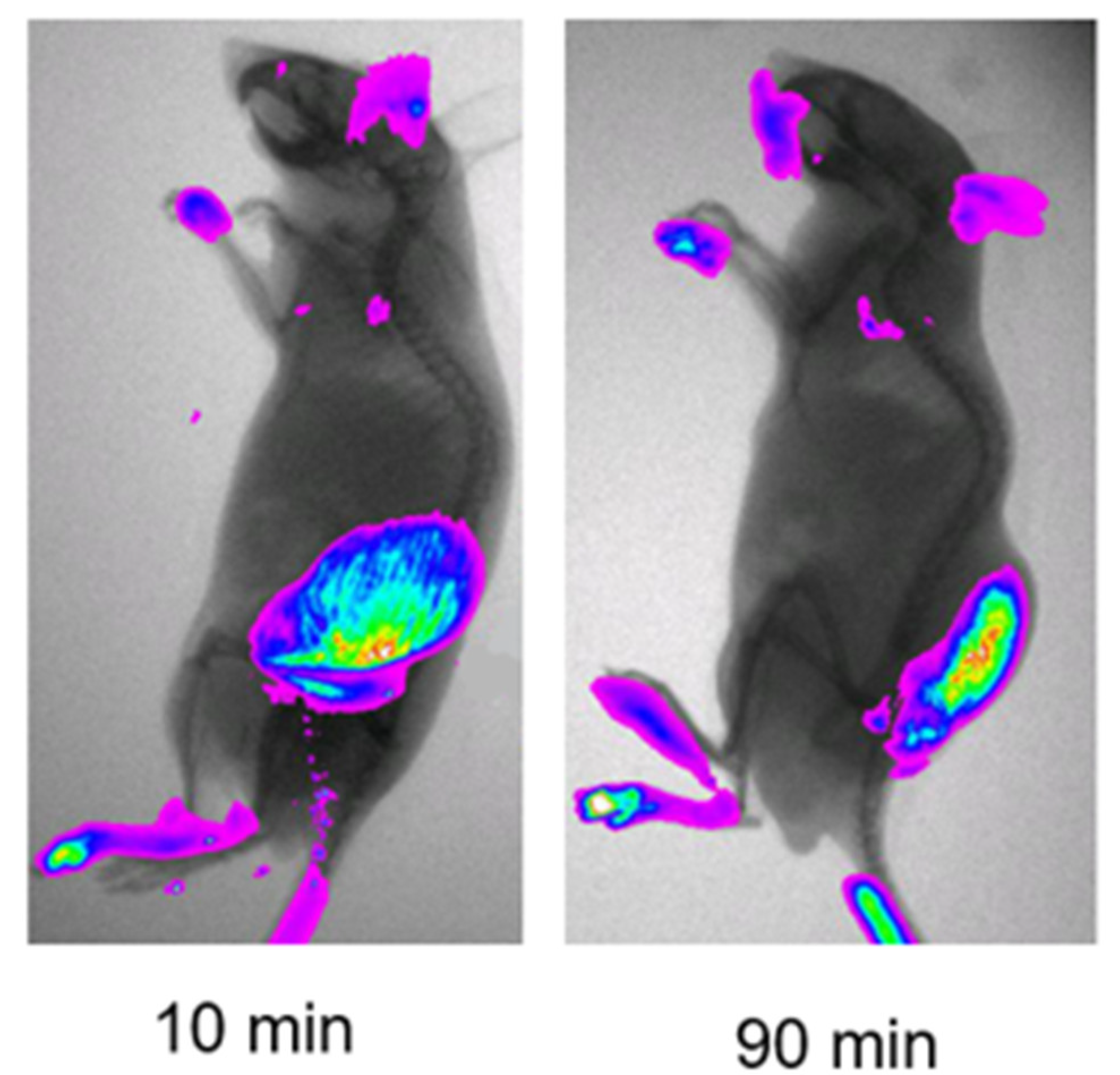 Cancers 15 04381 g002