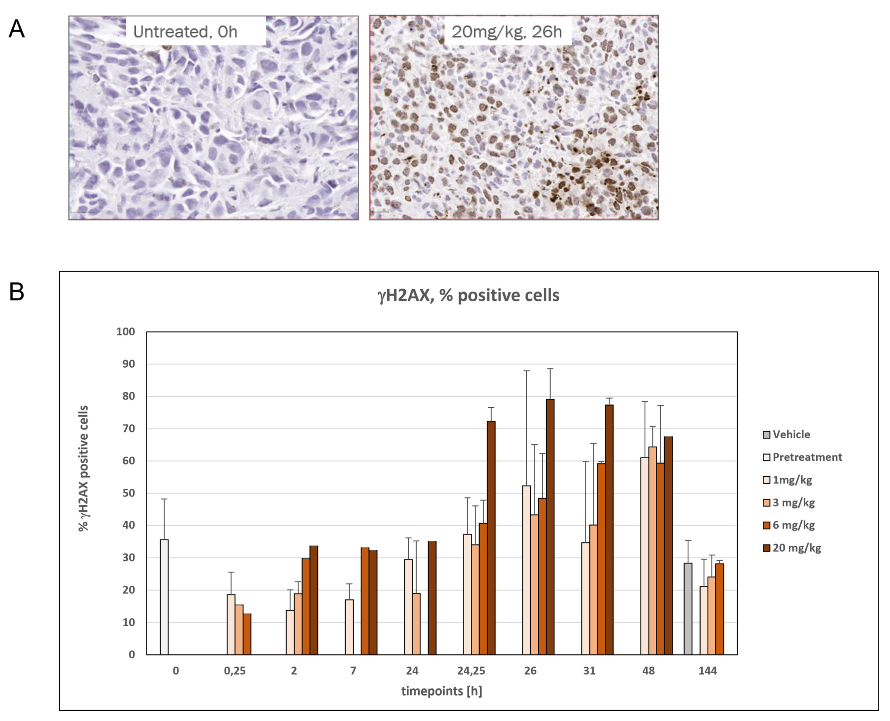 Cancers 15 04381 g005