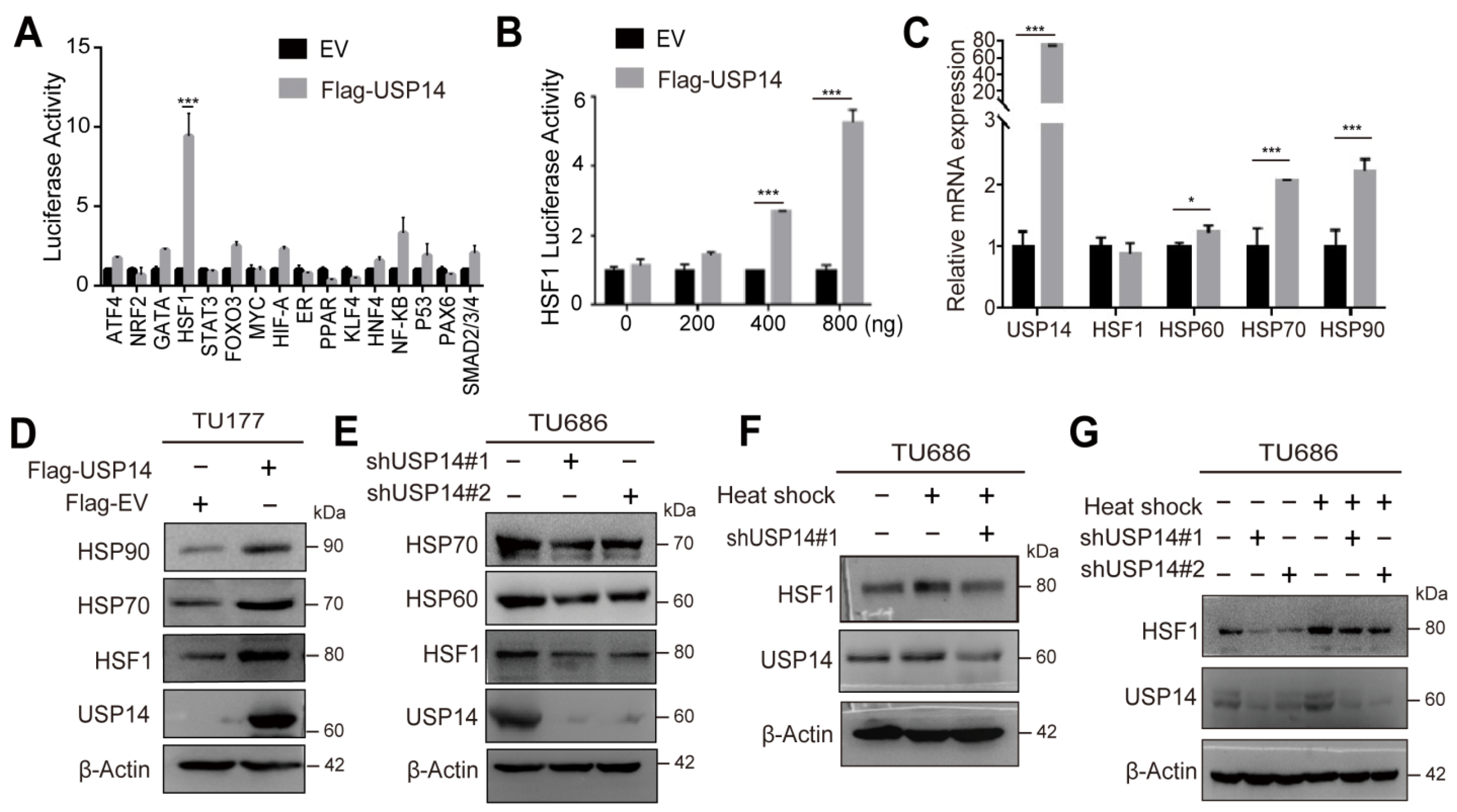 Cancers 15 04385 g005