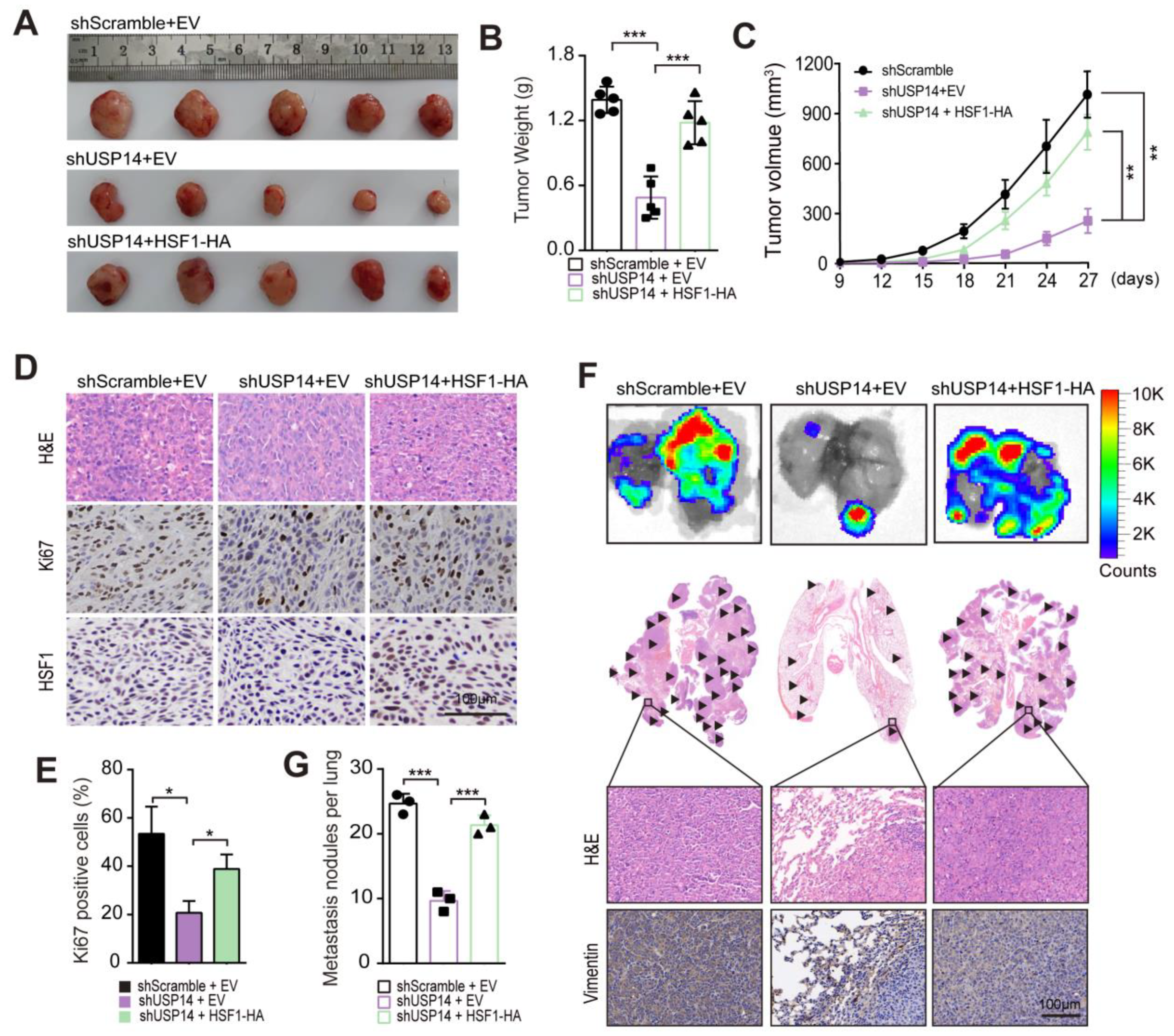 Cancers 15 04385 g009
