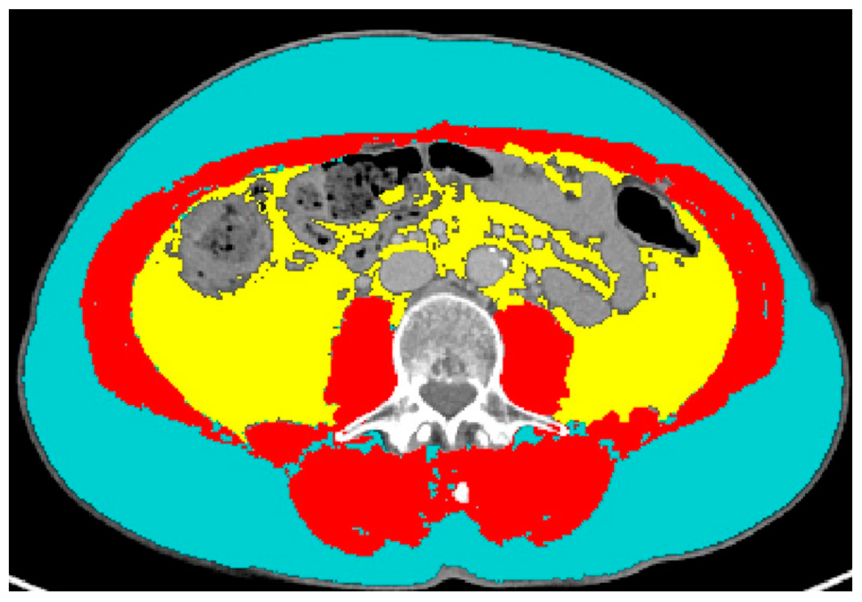 Cancers 15 04398 g001