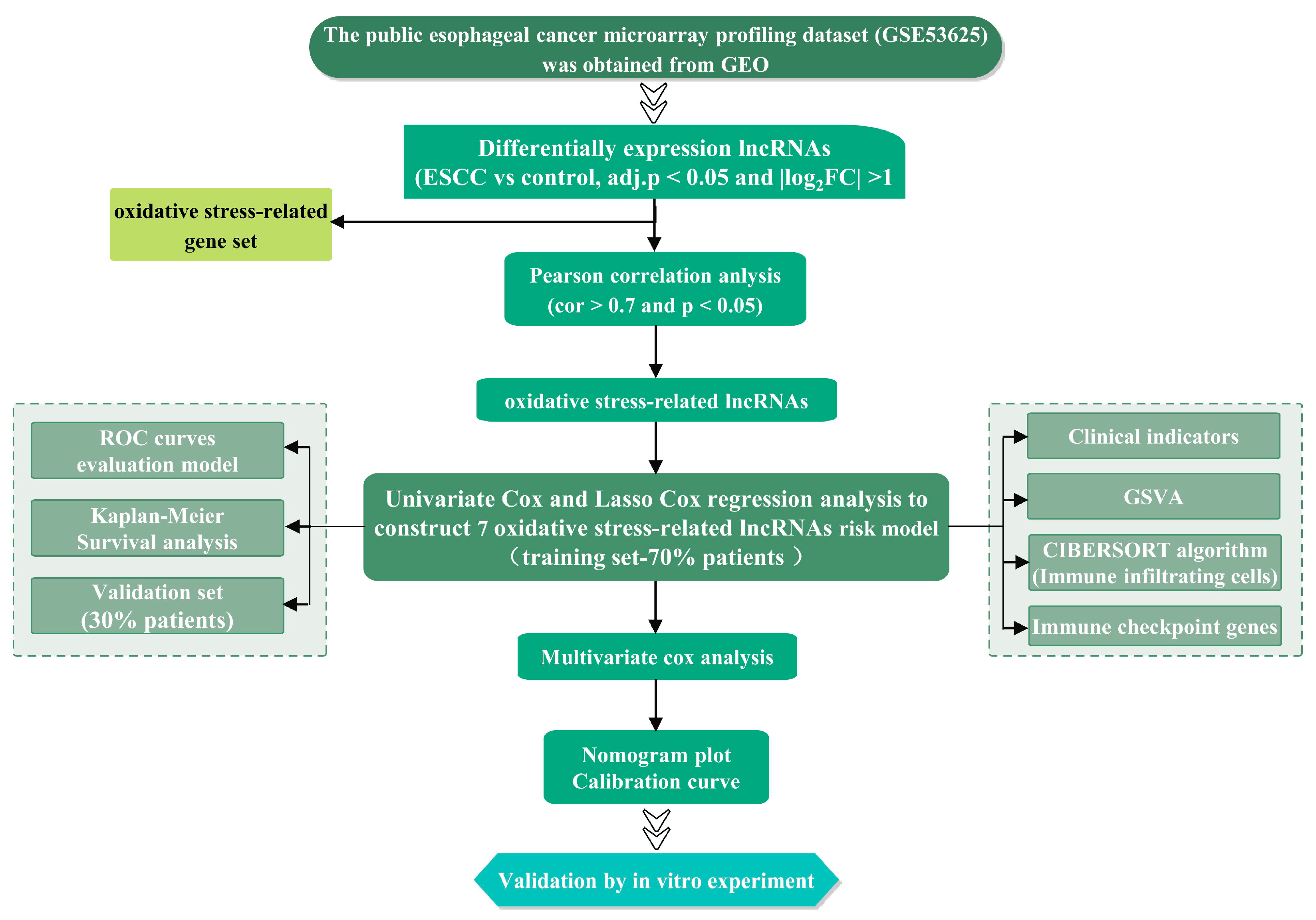 Cancers 15 04399 g001